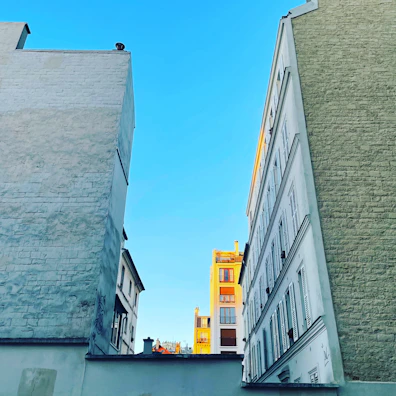 A vibrant scene of a musician performing passionately in a sunlit urban rooftop setting.