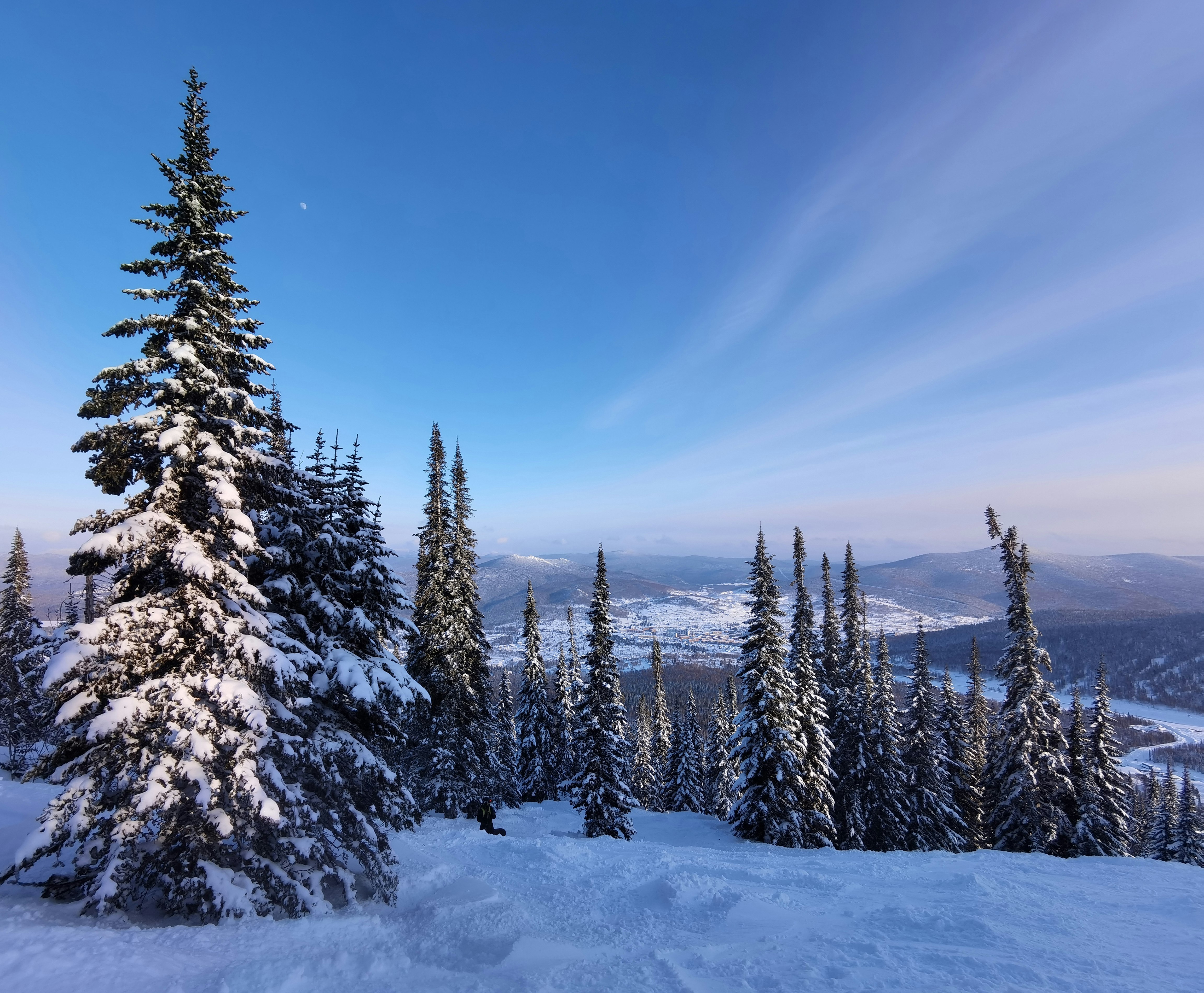 snow covered trees under blue sky during daytime