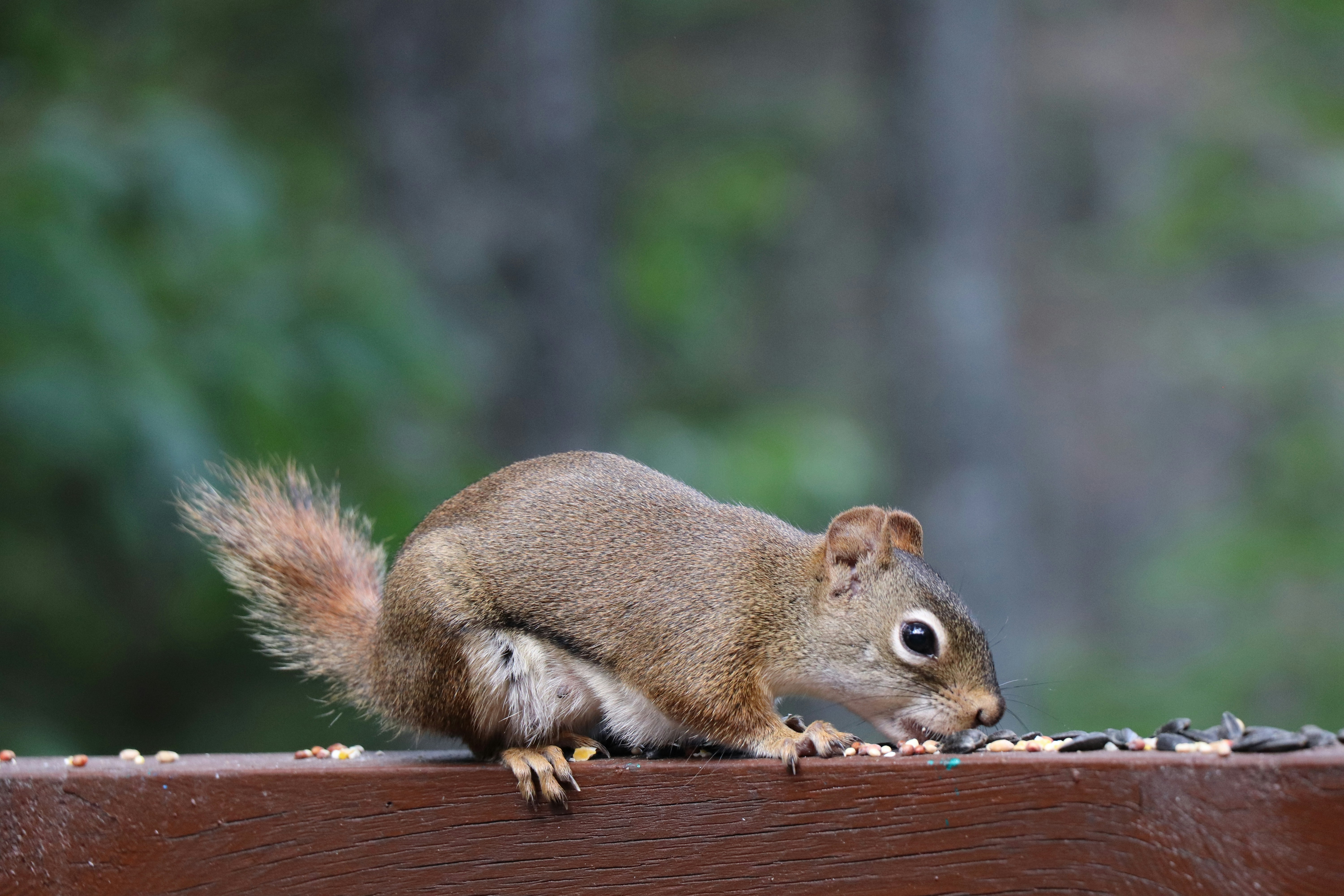 Photo by sandimagerart