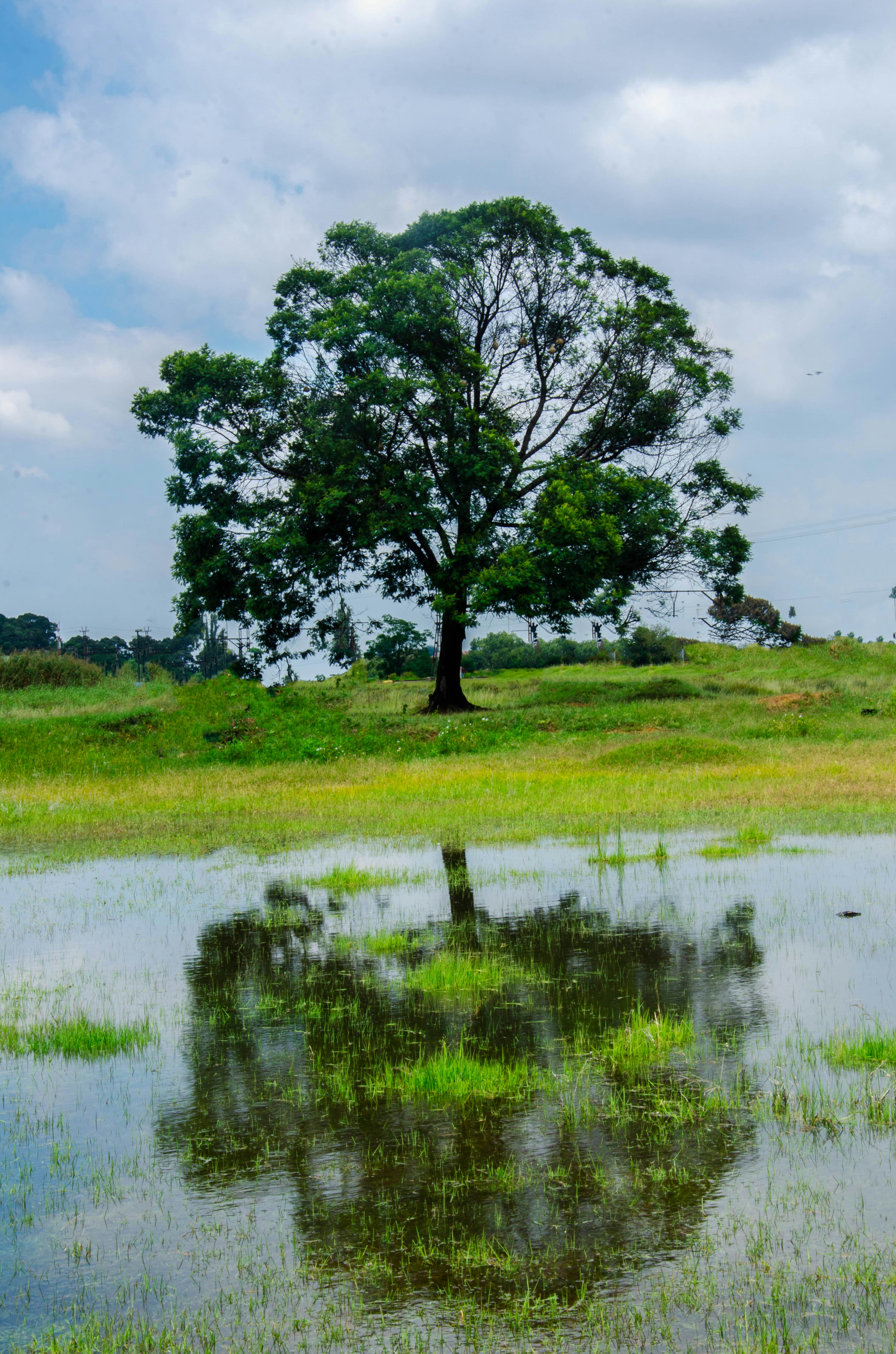 Photo by stewardesign