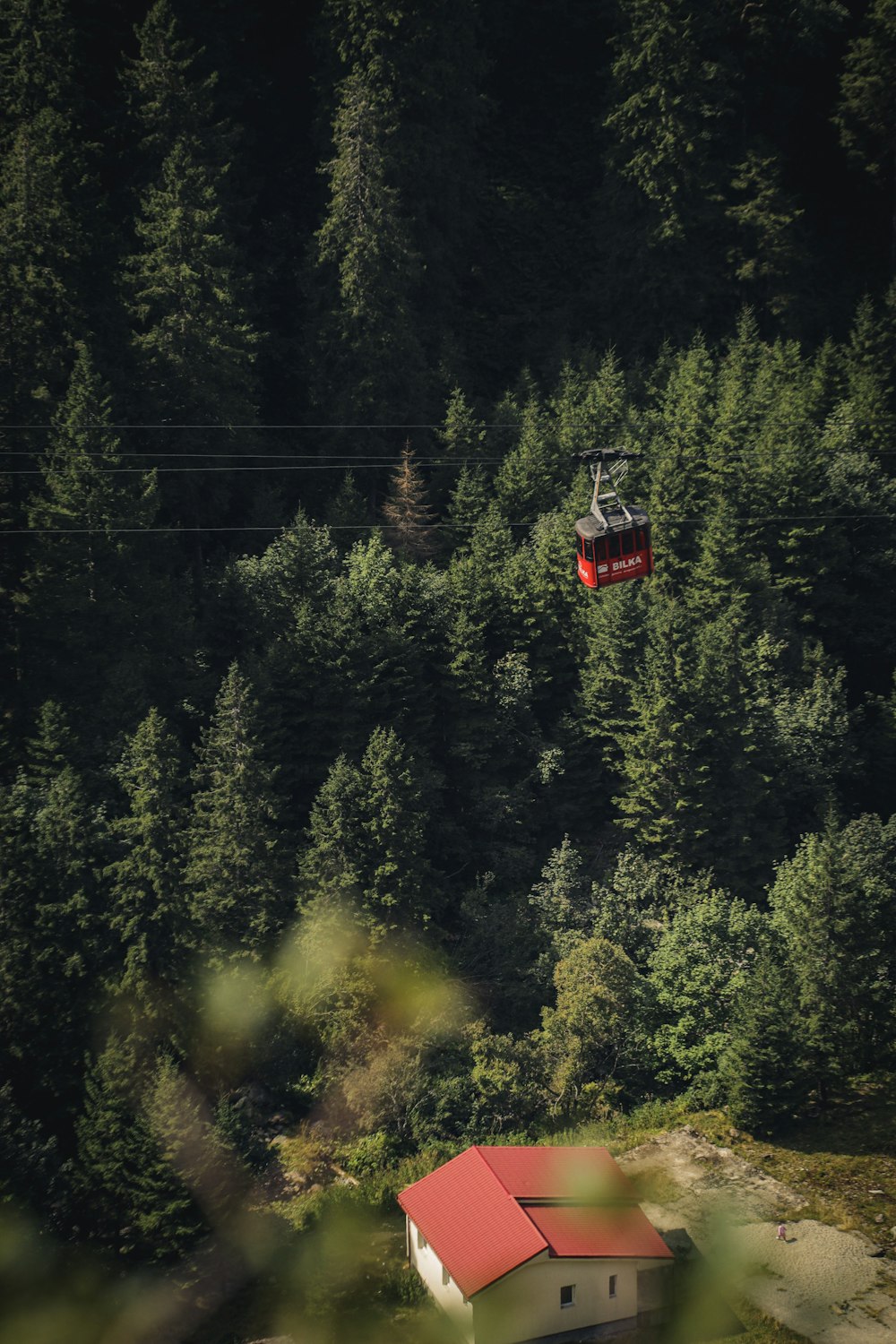 red cable car over green trees during daytime