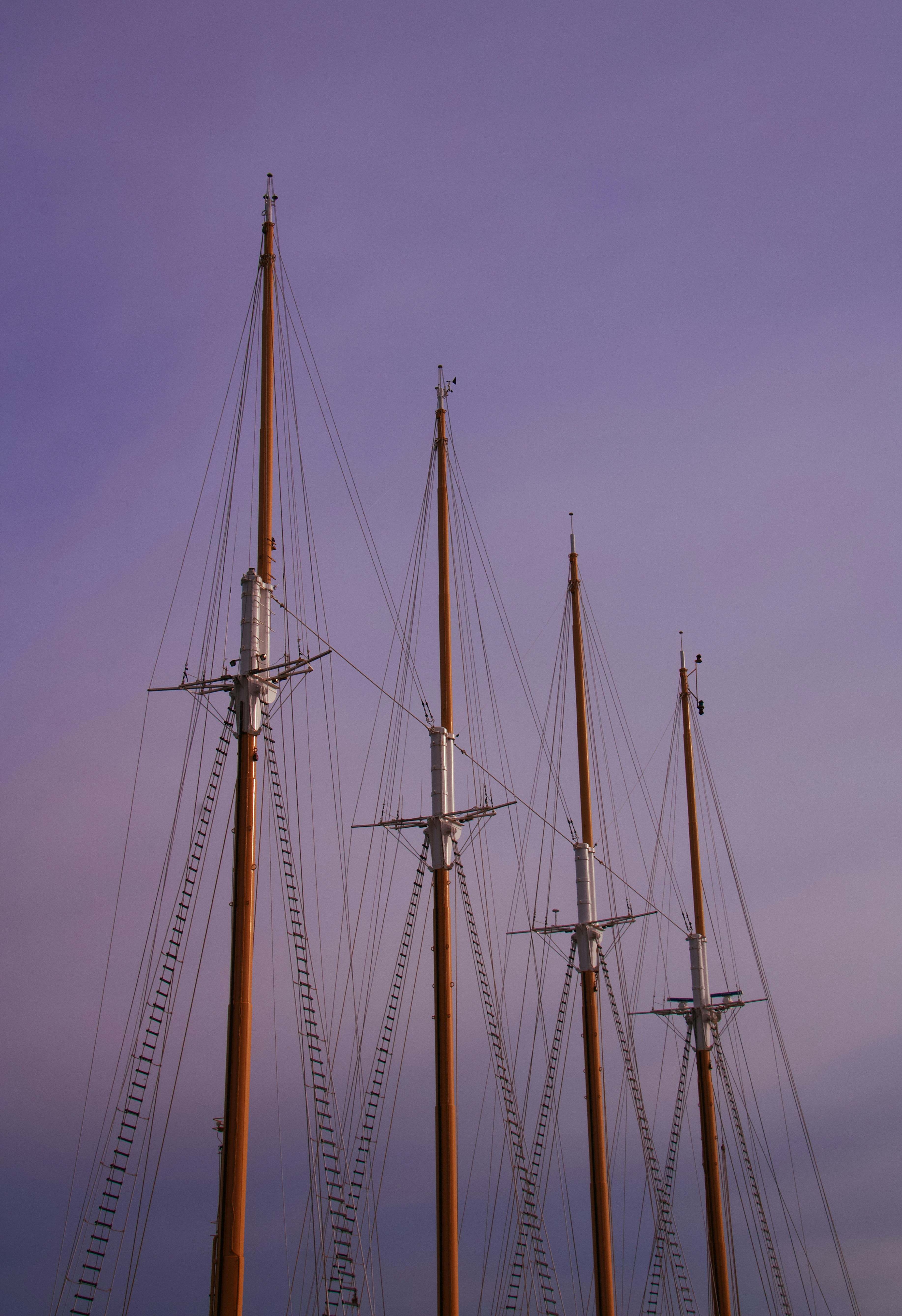 Photo by miguelalcantara