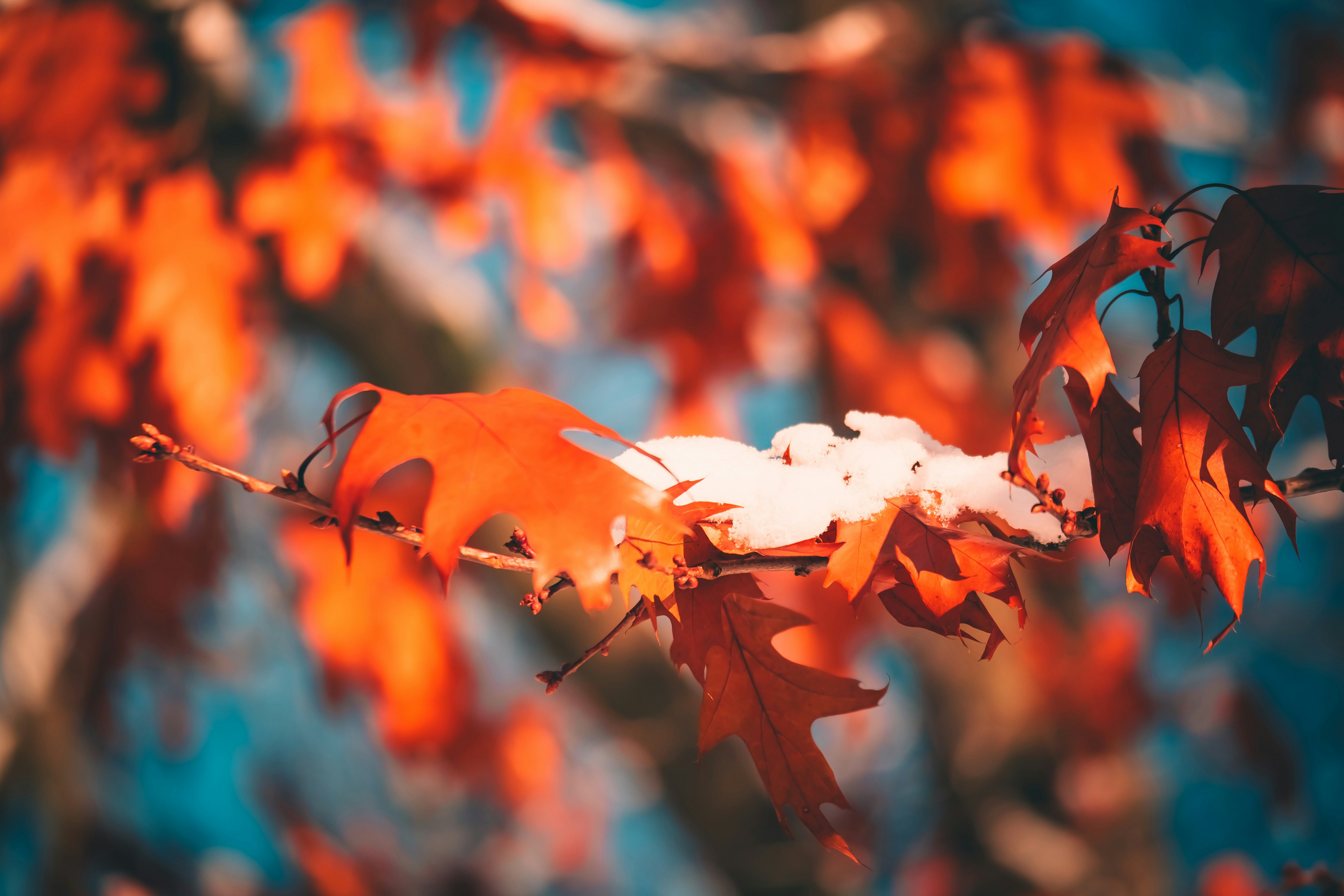 Photo by raimondklavins