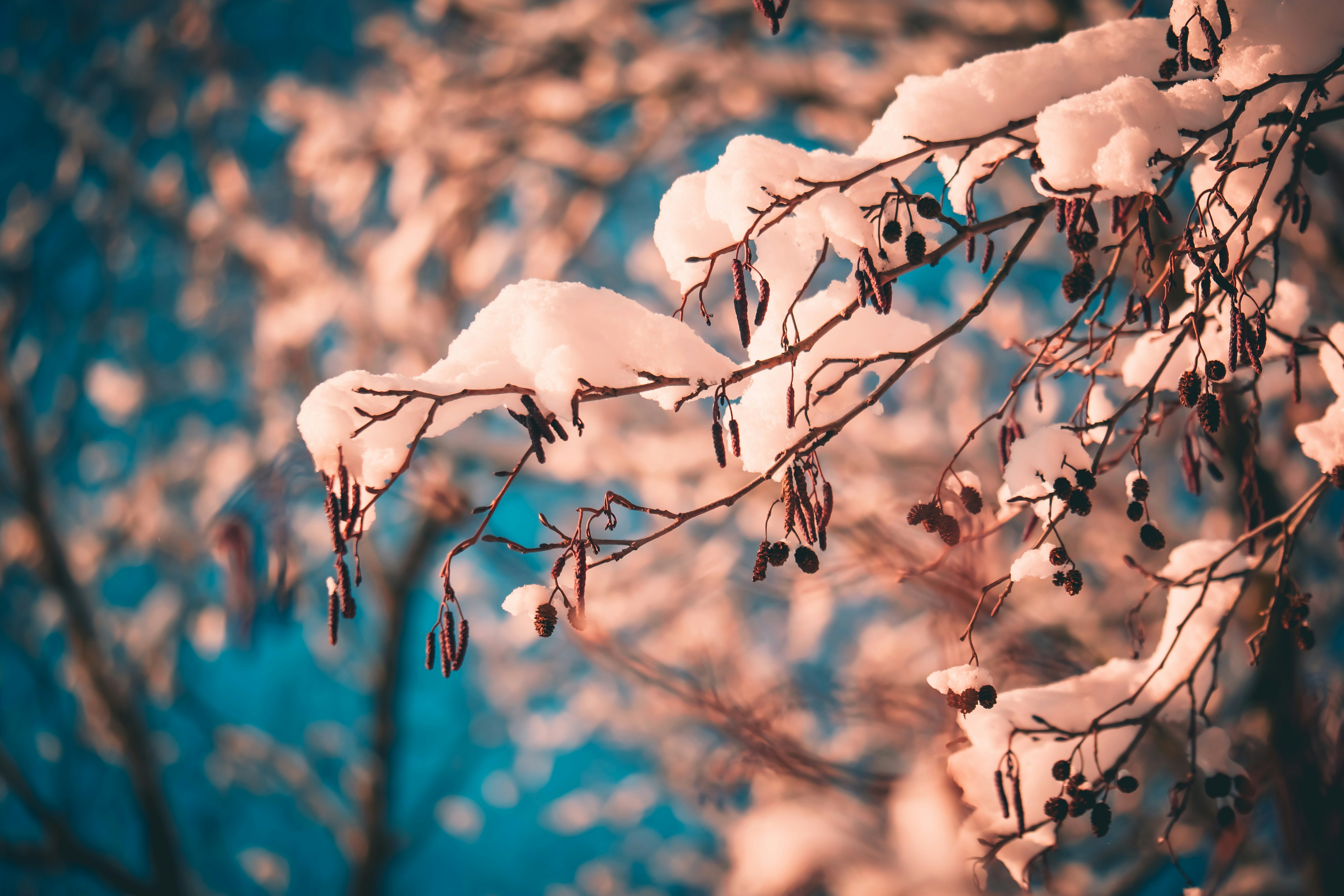 Photo by raimondklavins