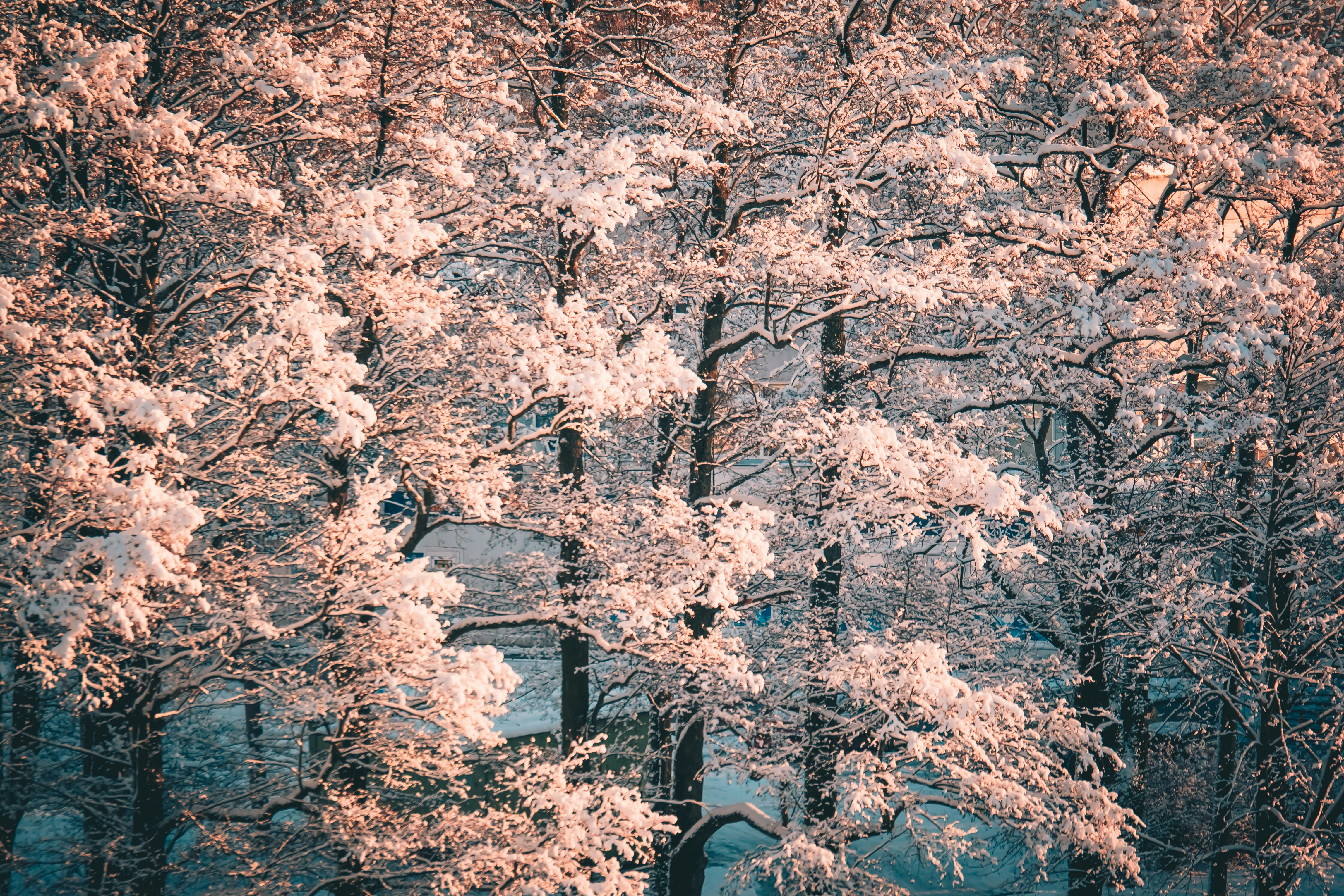 Photo by raimondklavins