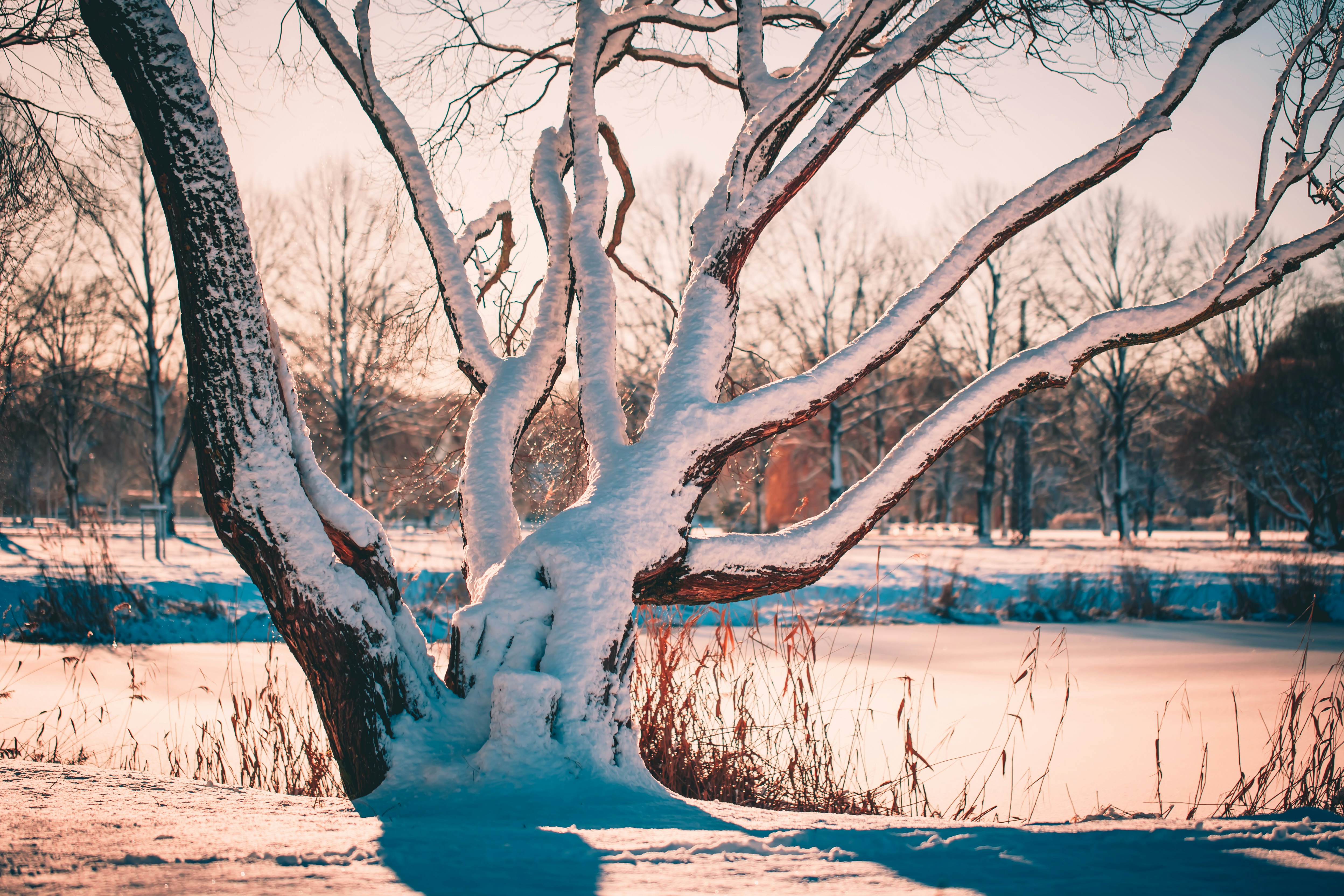 Photo by raimondklavins