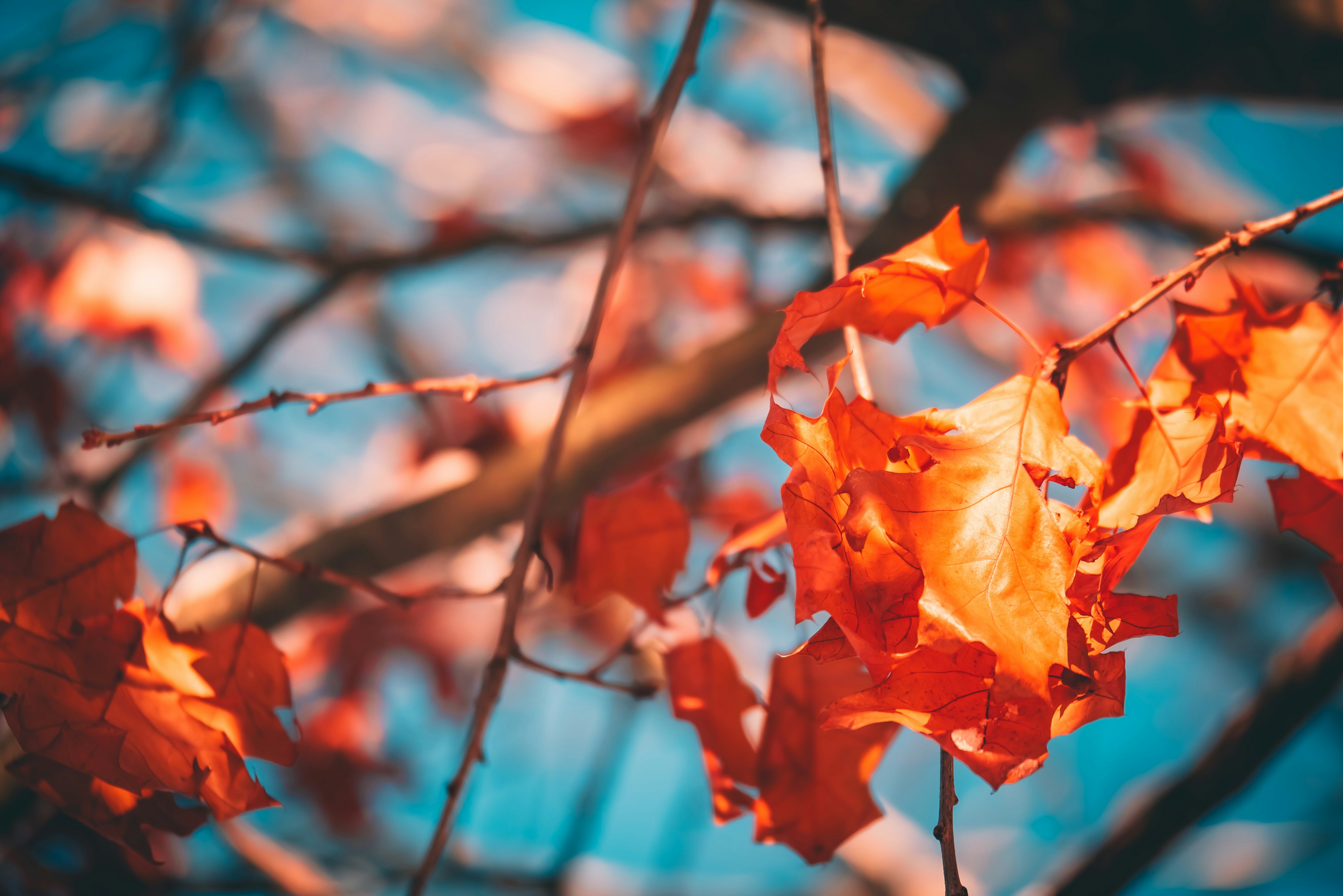 Photo by raimondklavins