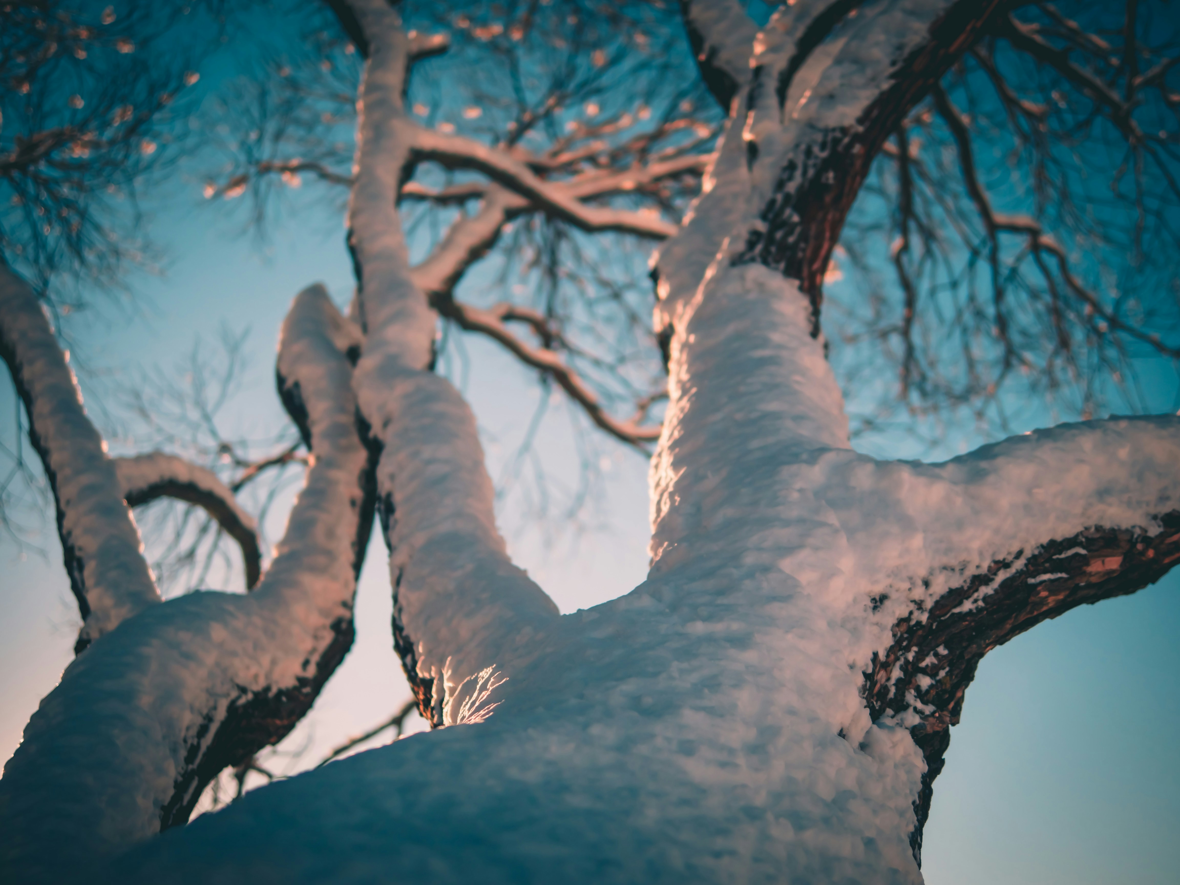 Photo by raimondklavins