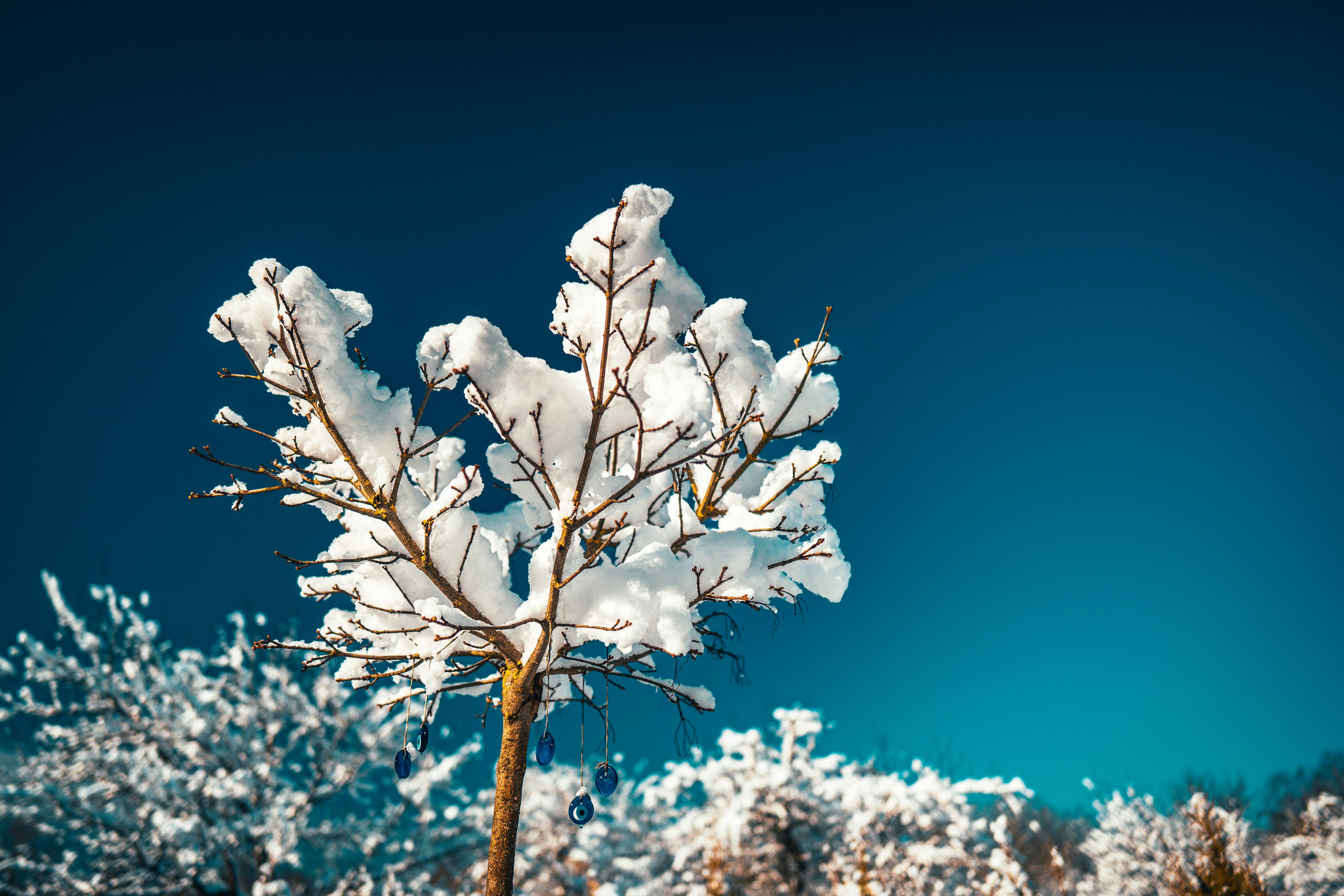 Photo by raimondklavins