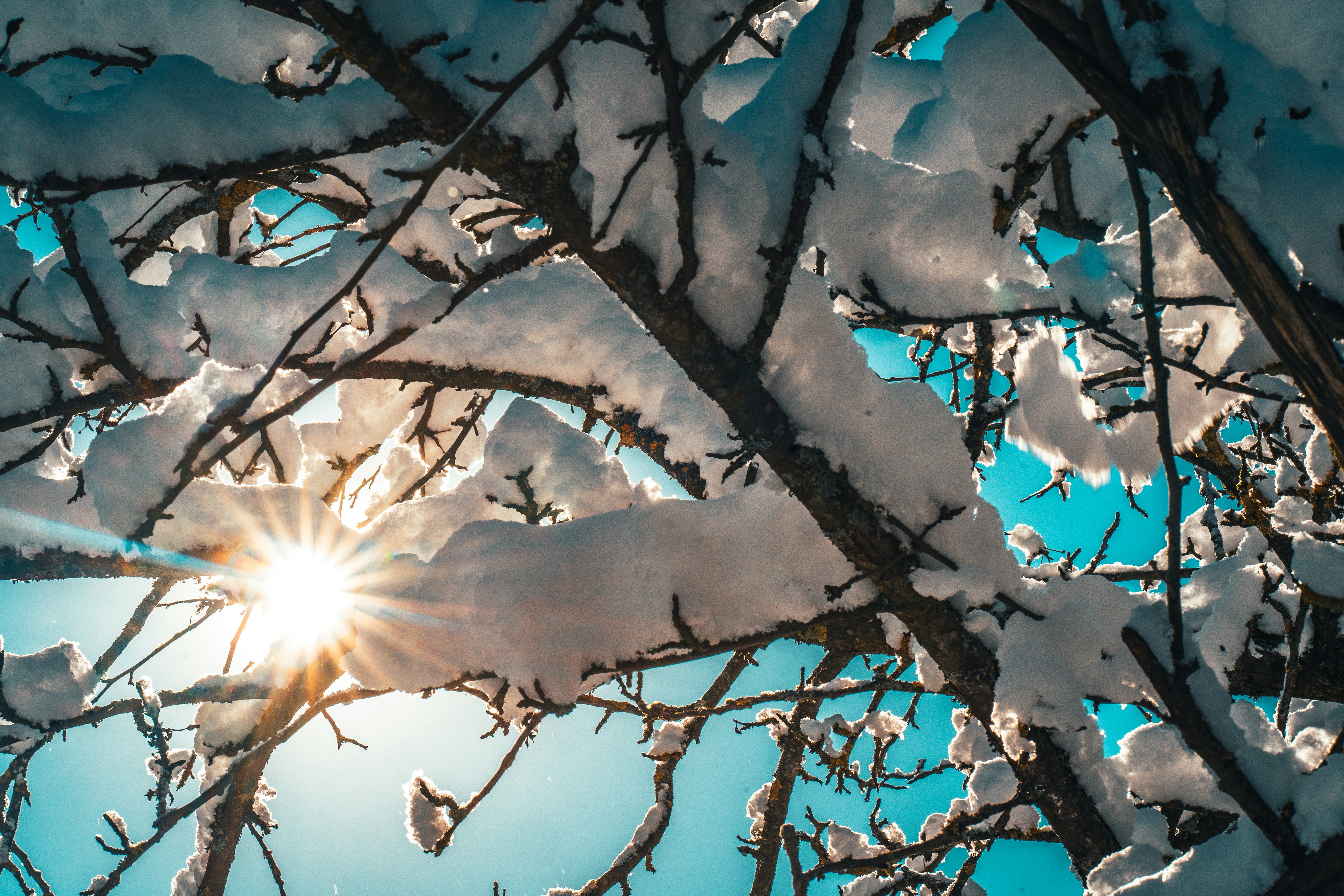 Photo by raimondklavins