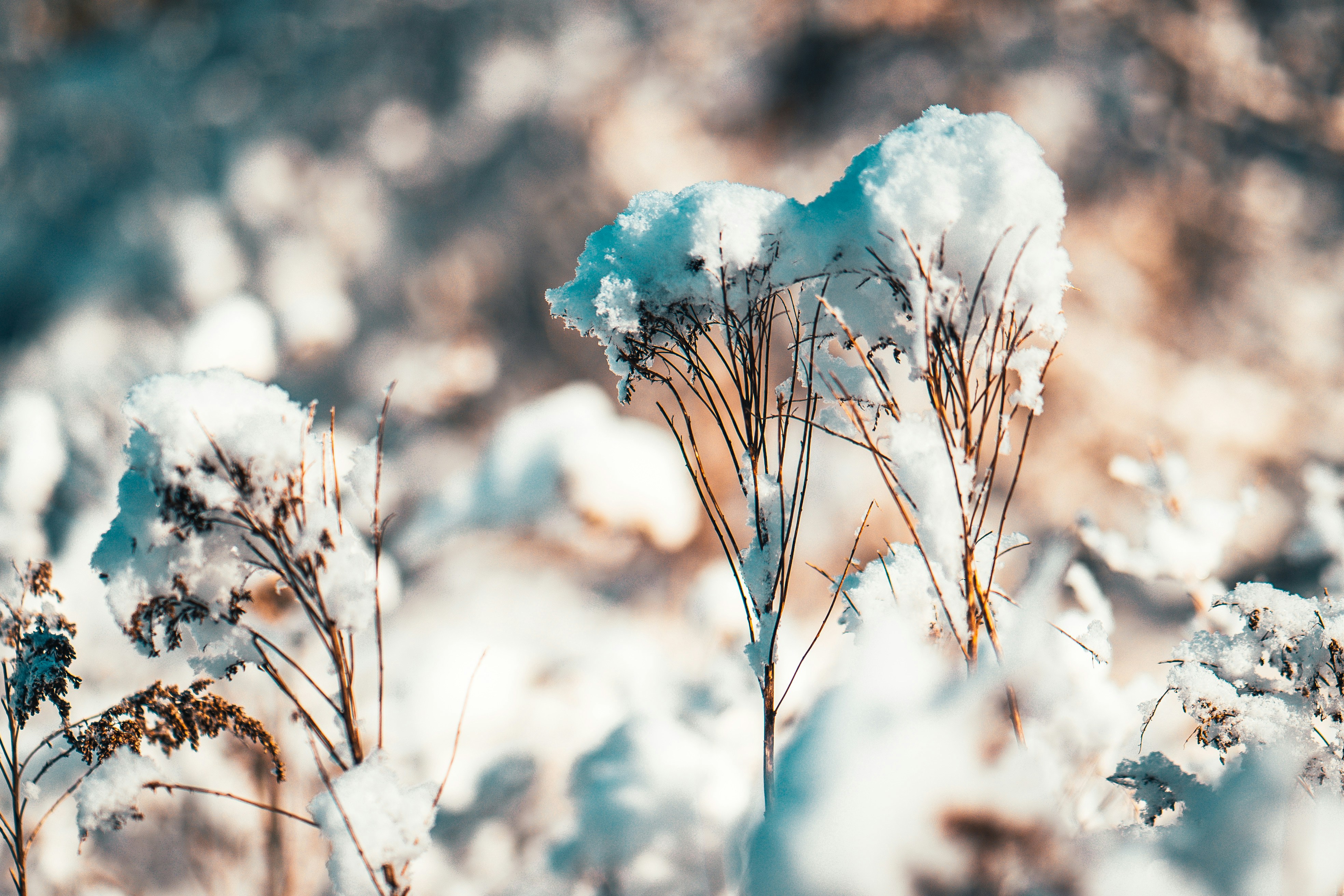 Photo by raimondklavins