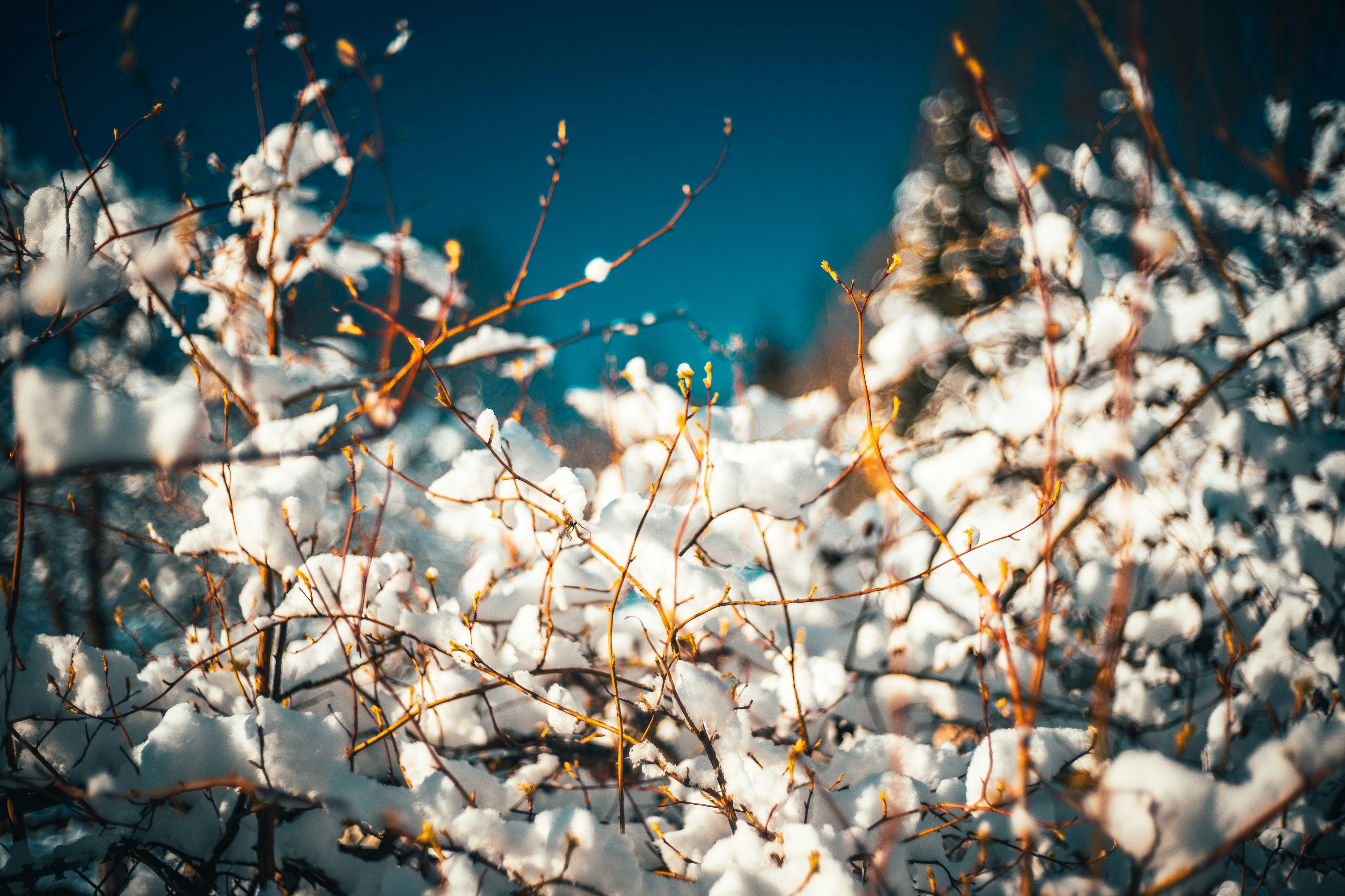 Photo by raimondklavins