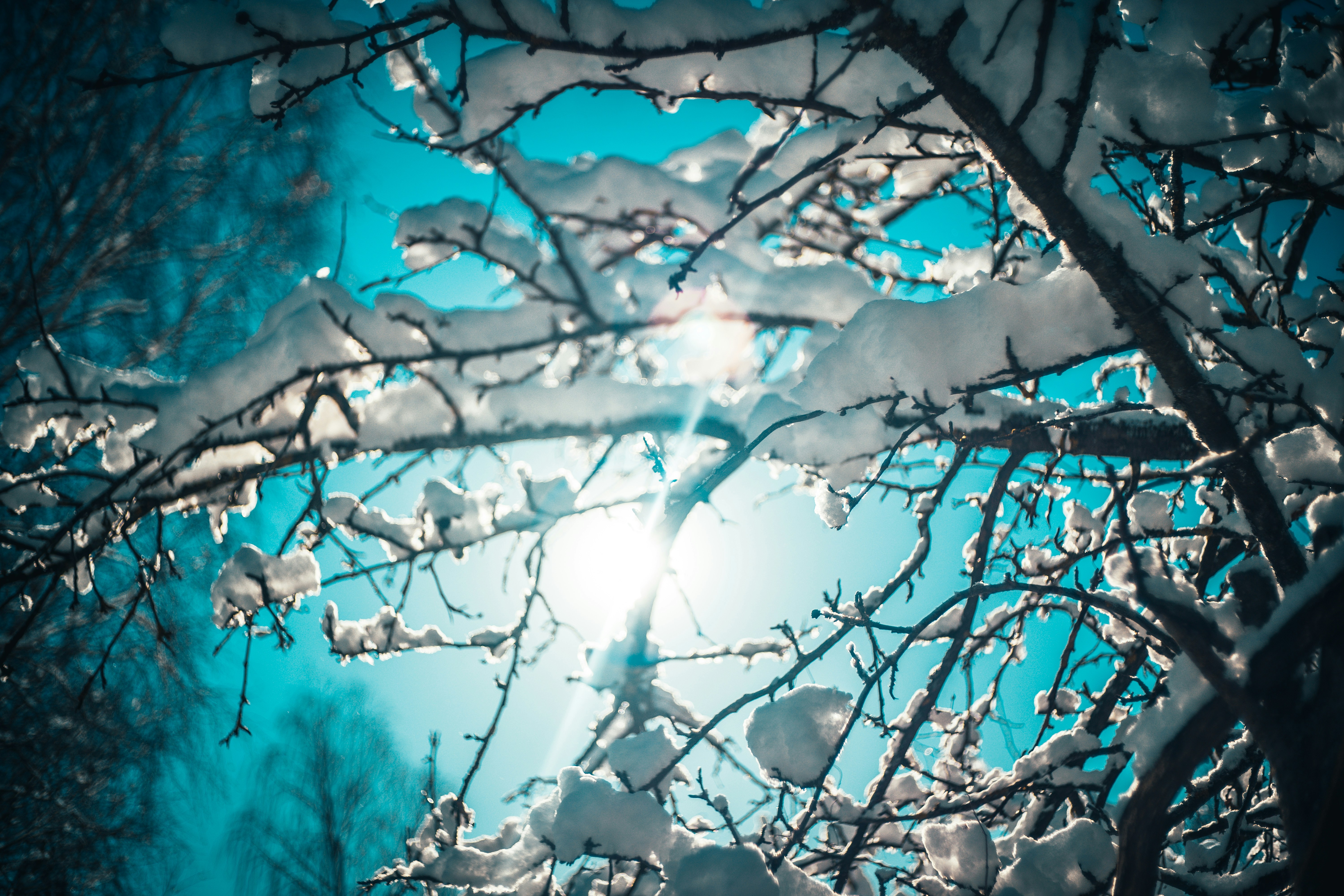 Photo by raimondklavins