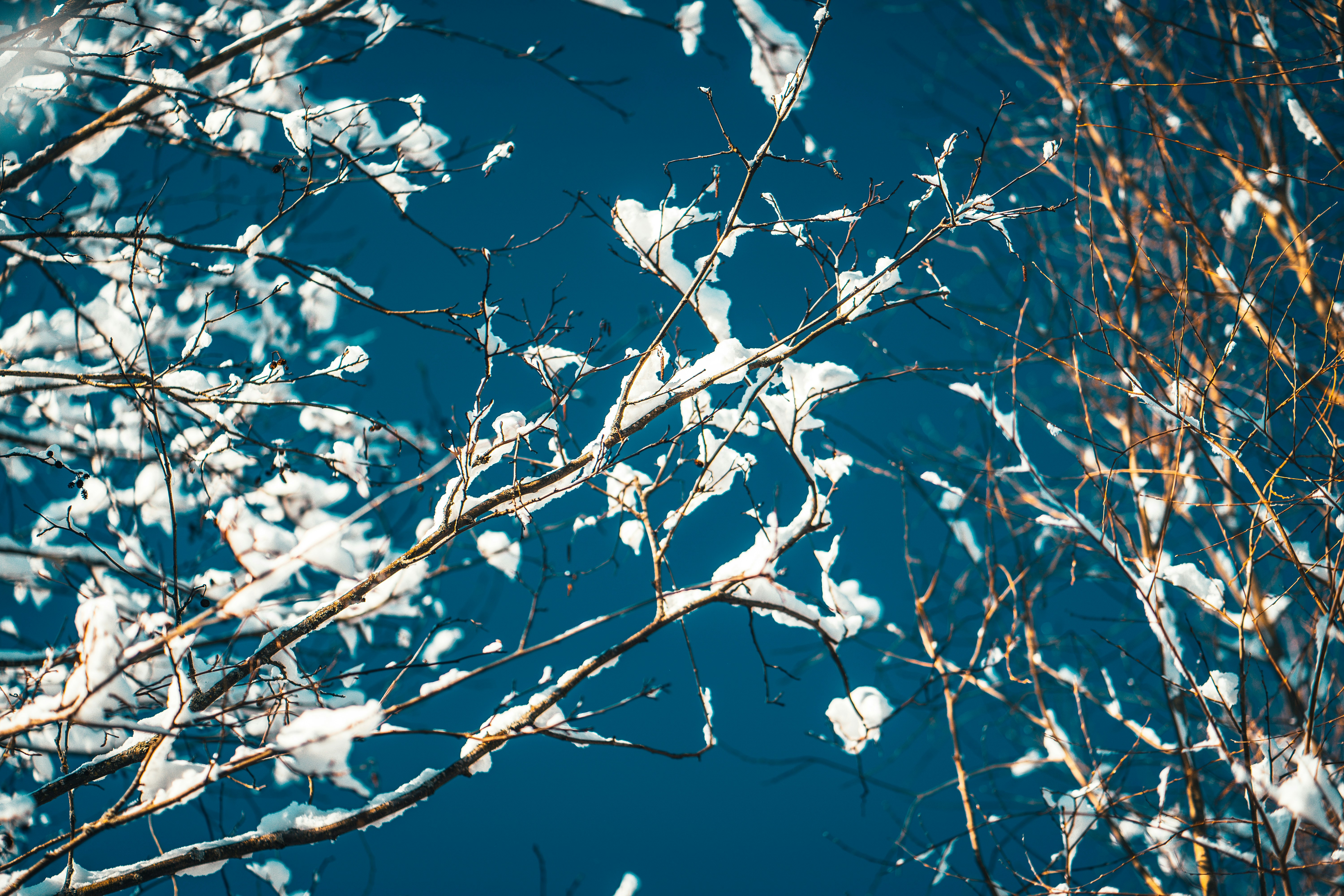 Photo by raimondklavins