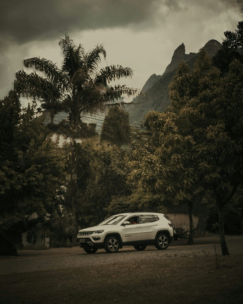 white suv parked near green trees during daytime