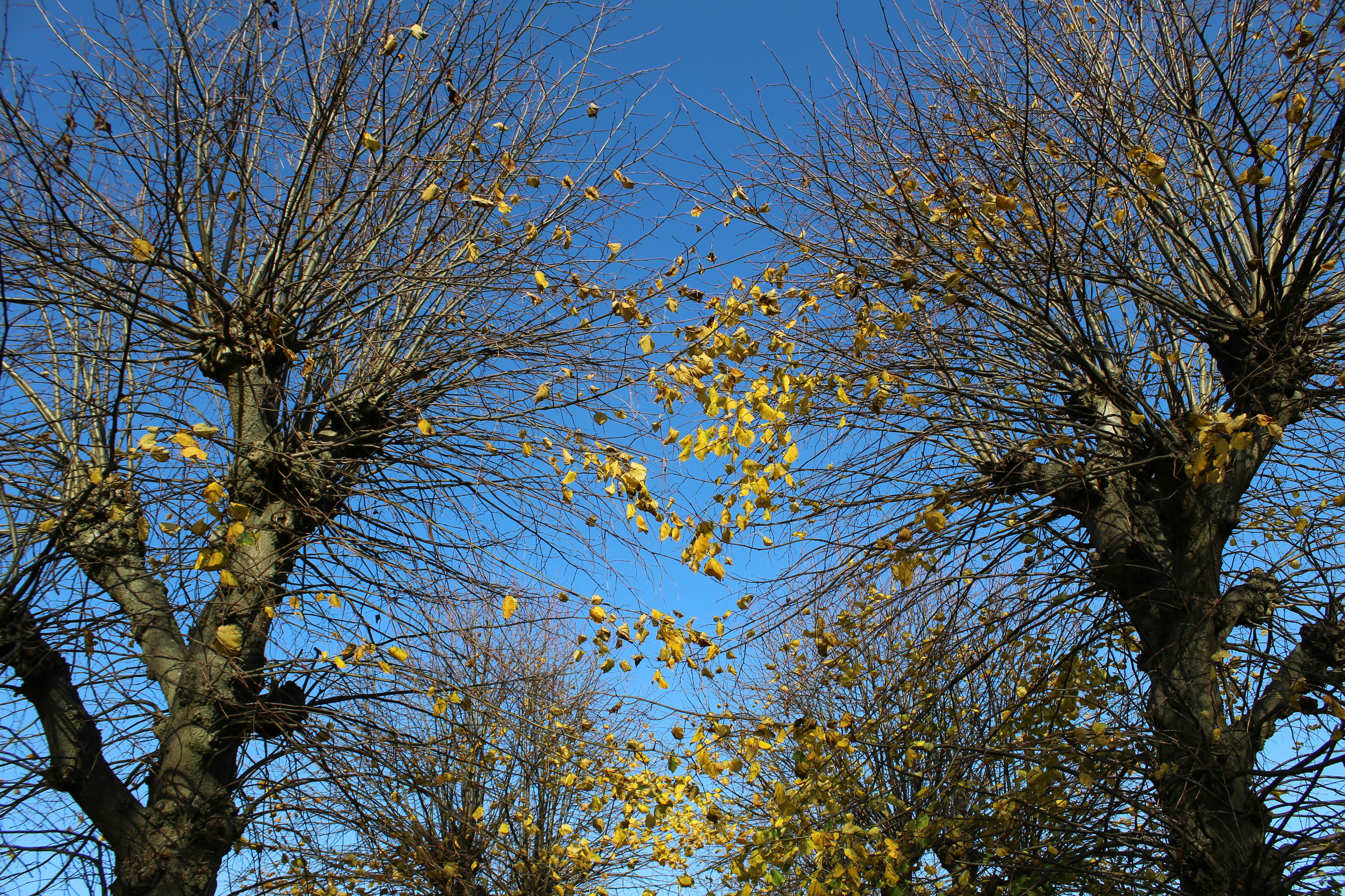 Photo by sophiewrixon