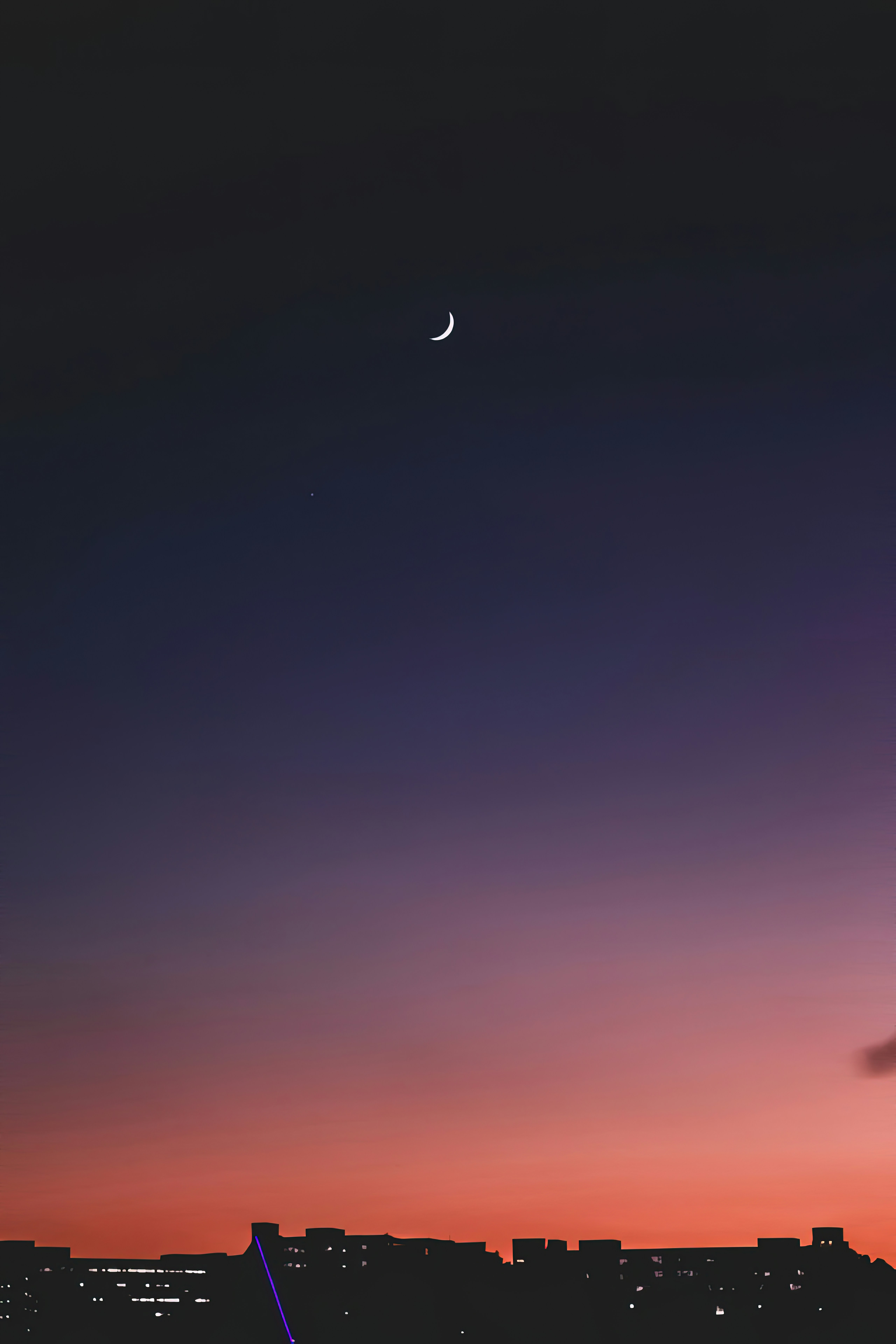 Photo by acuriousape