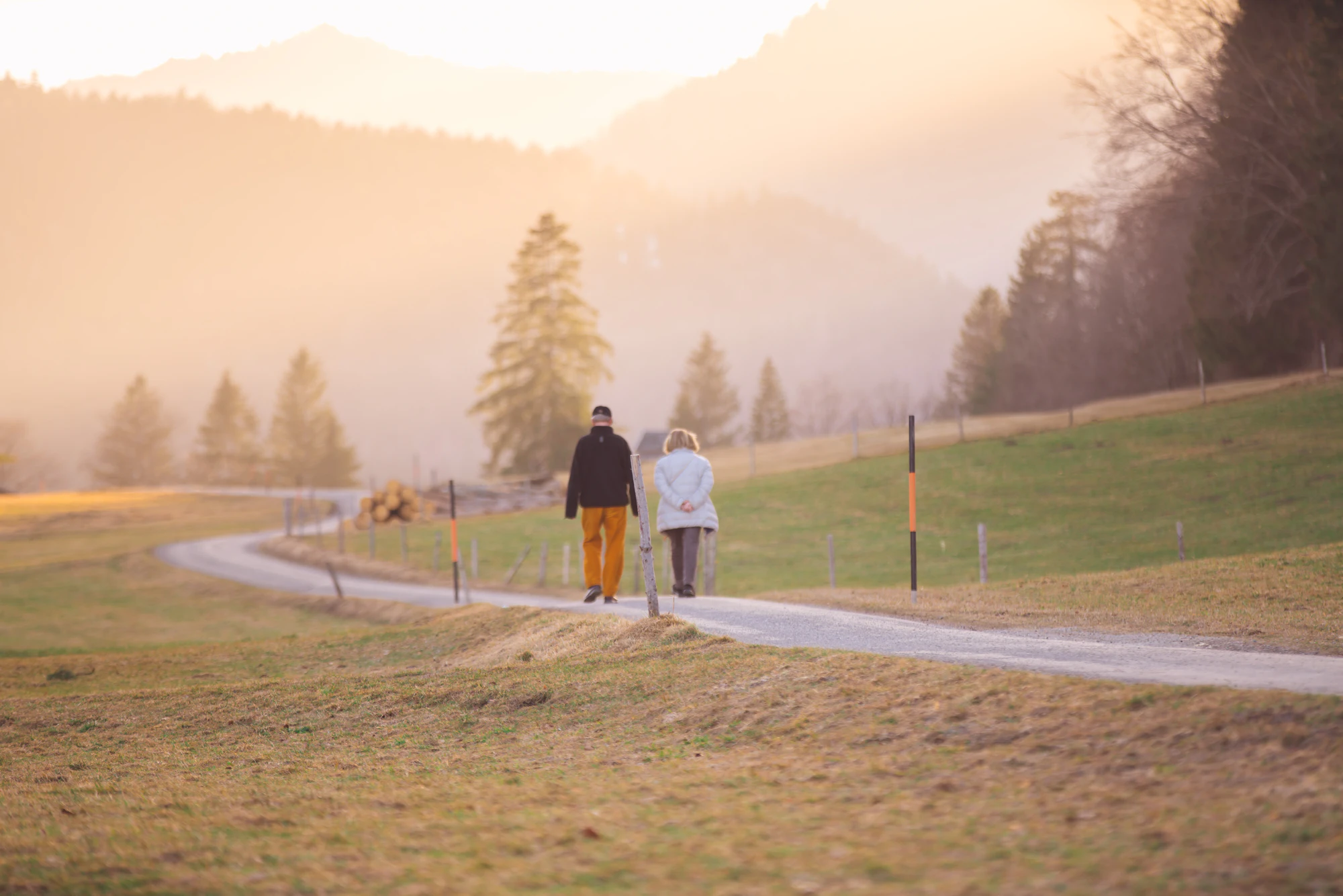A couple walking a quiet valley road in golden morning light
