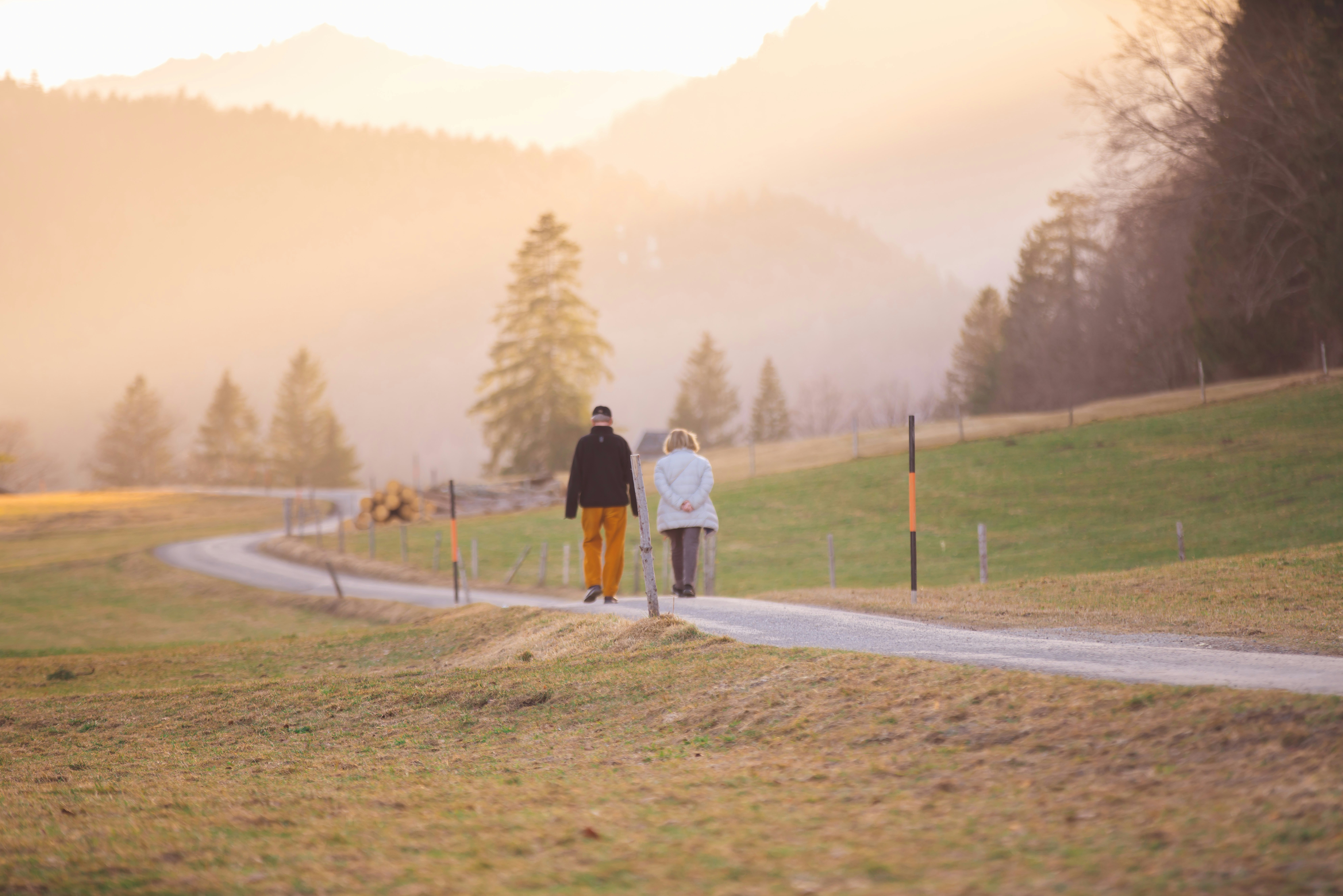 Social Security Retirement Ages Chart