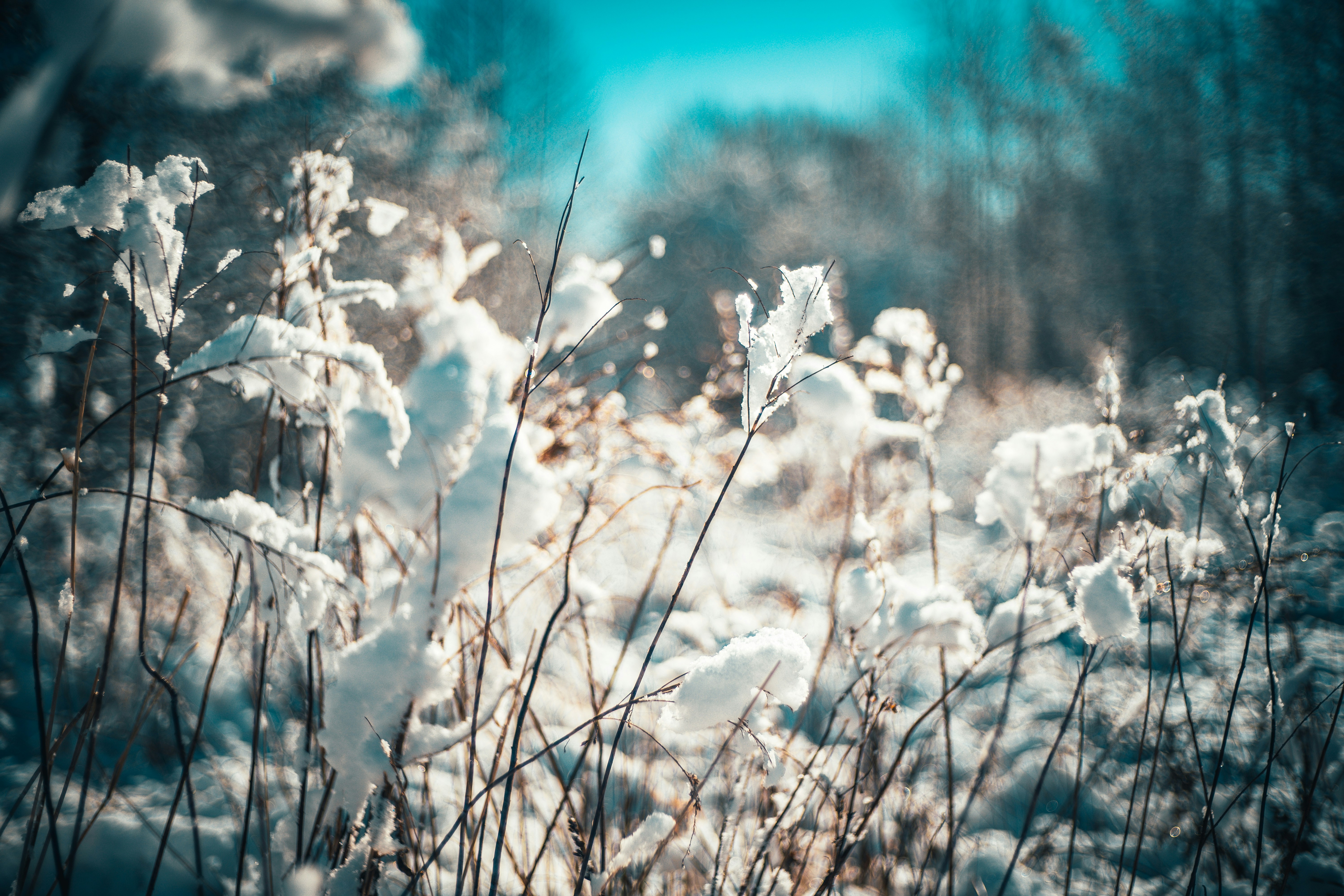 Photo by raimondklavins