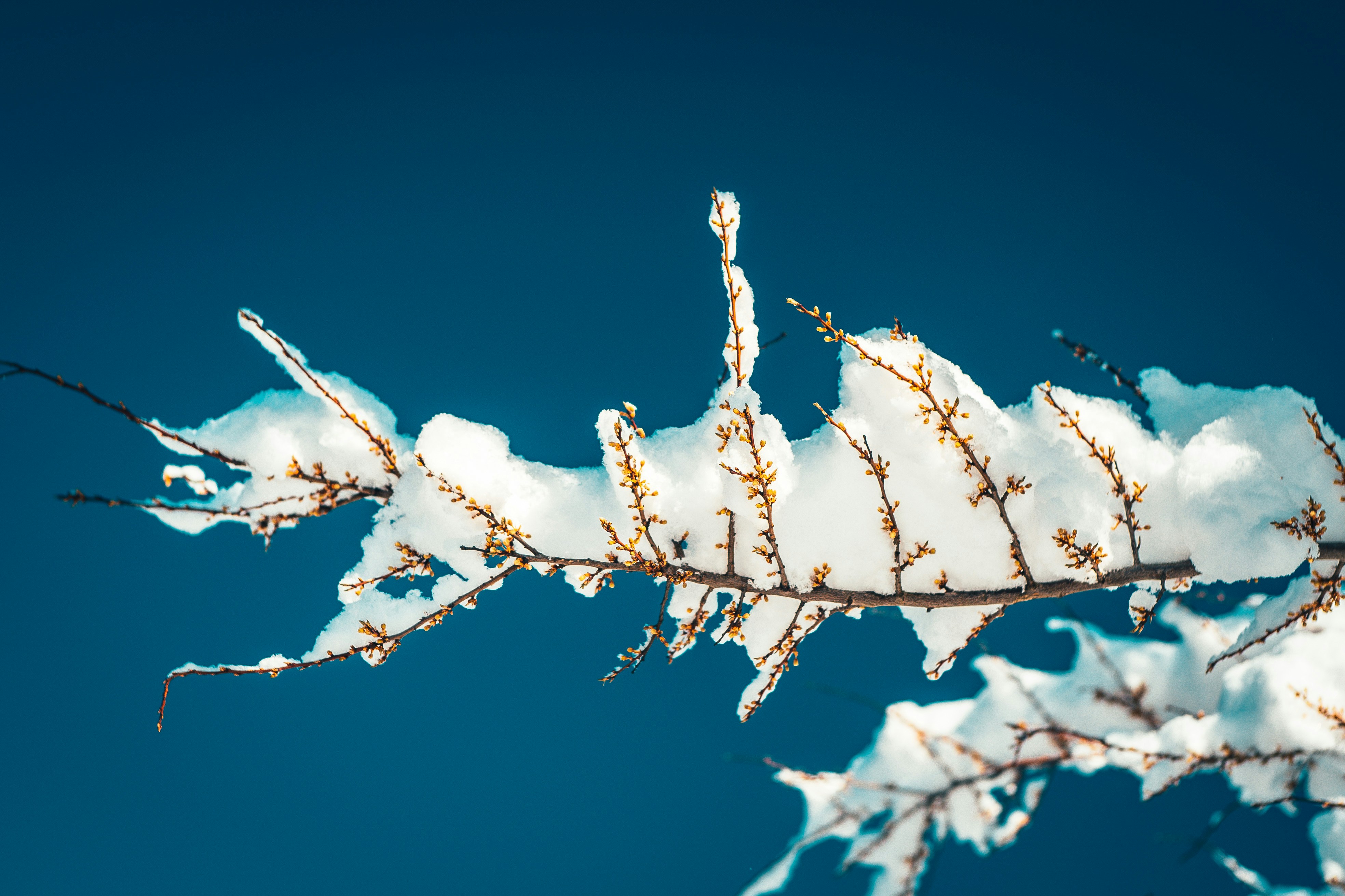 Photo by raimondklavins