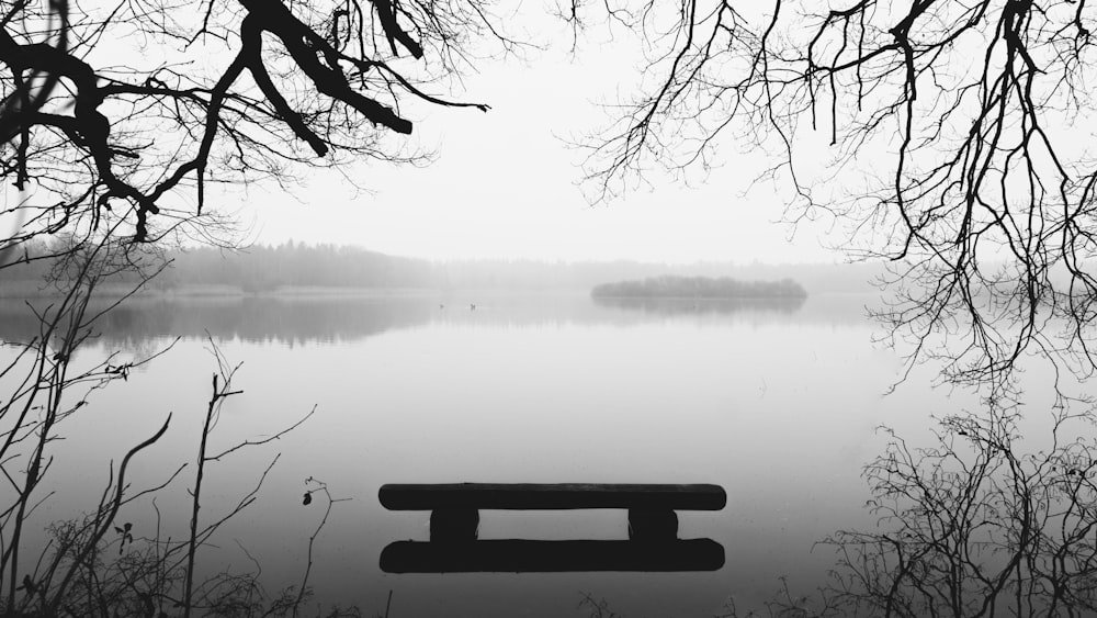 black wooden bench near body of water during foggy weather