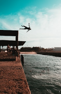 people on beach during daytime