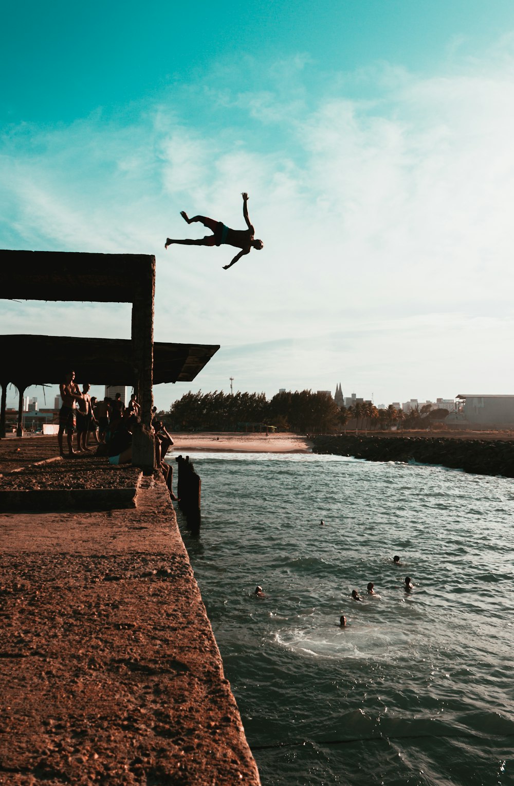 people on beach during daytime