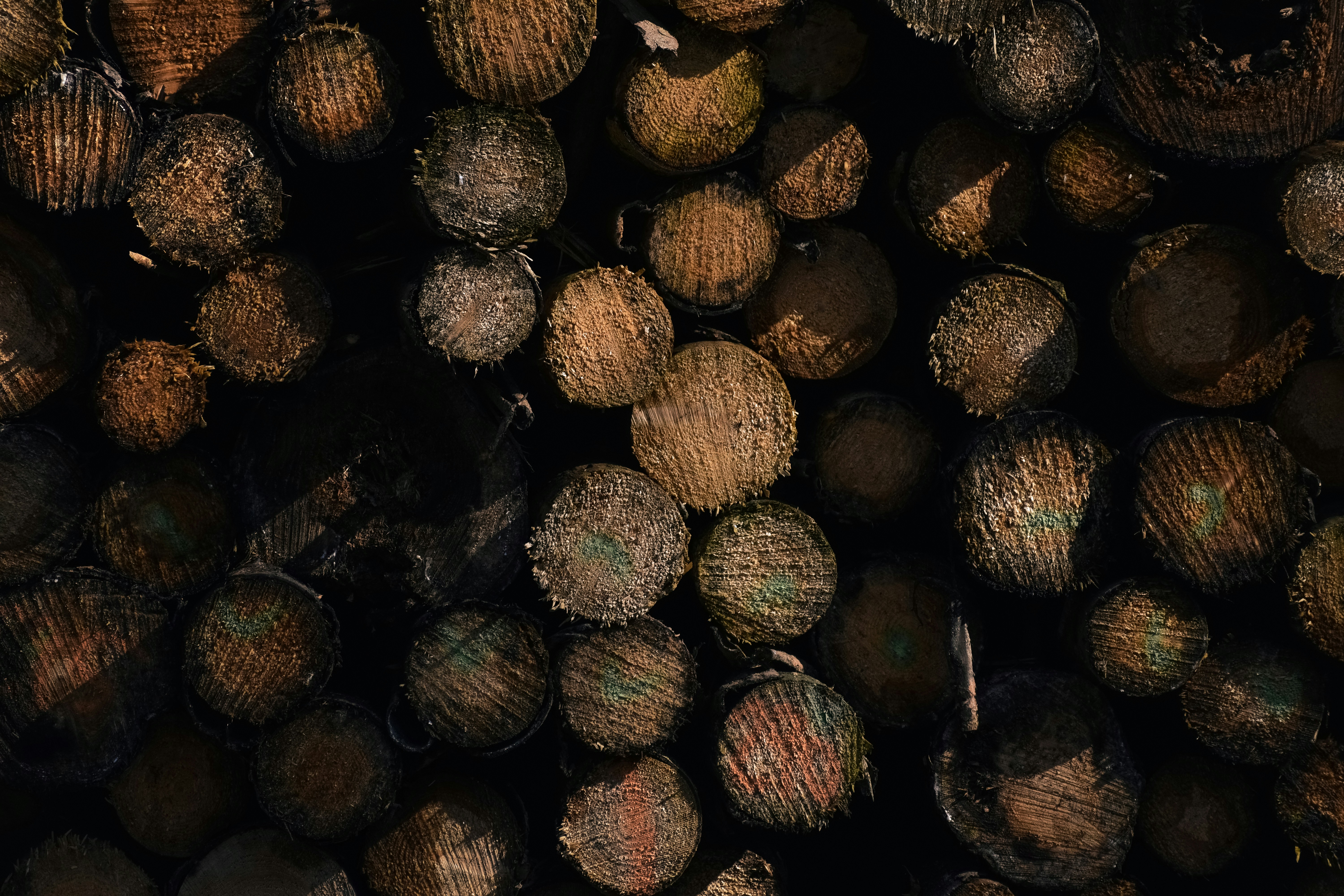 Pile of roundwood