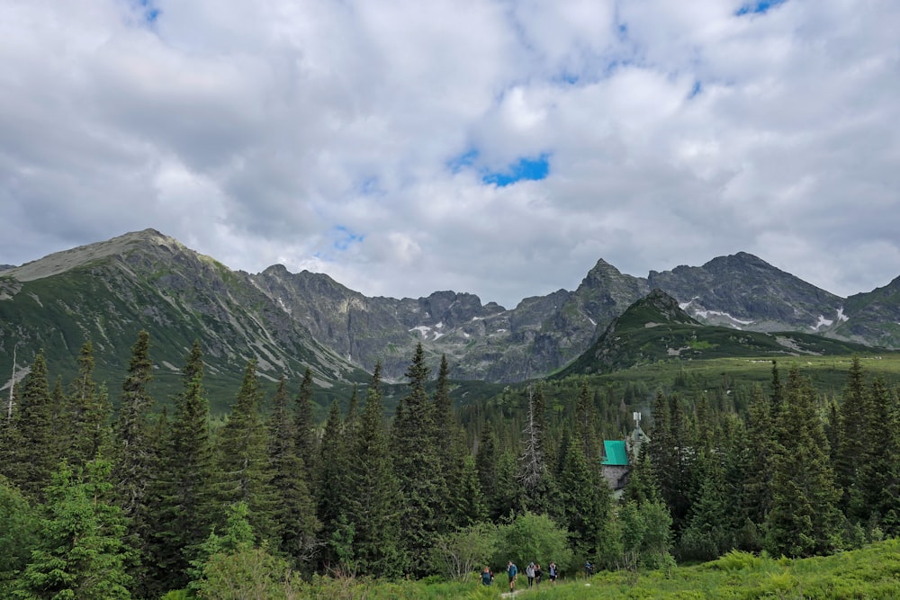 green pine trees near mountain under white clouds and blue sky during daytime