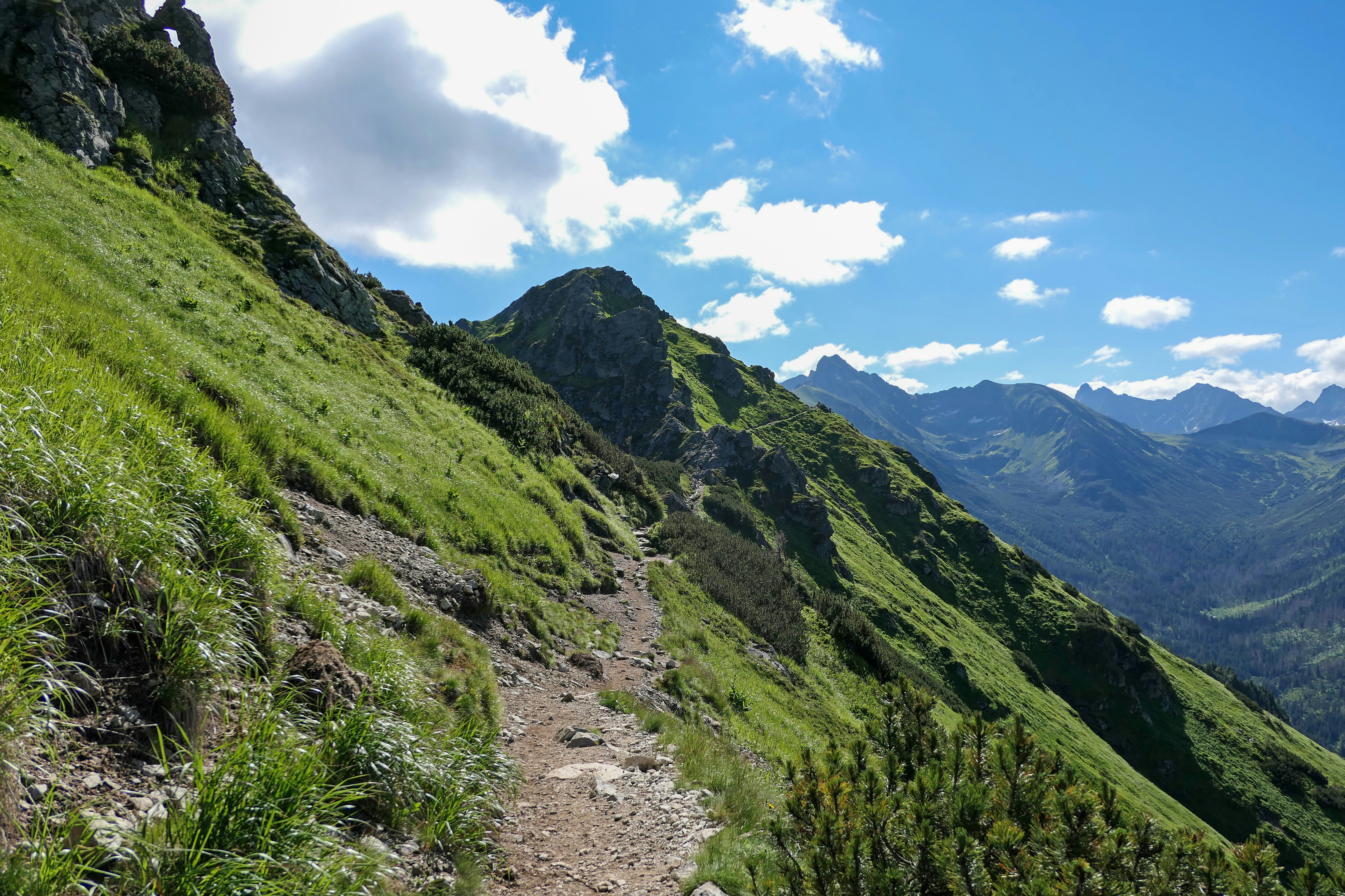 green grass covered mountain under blue sky during daytime, 