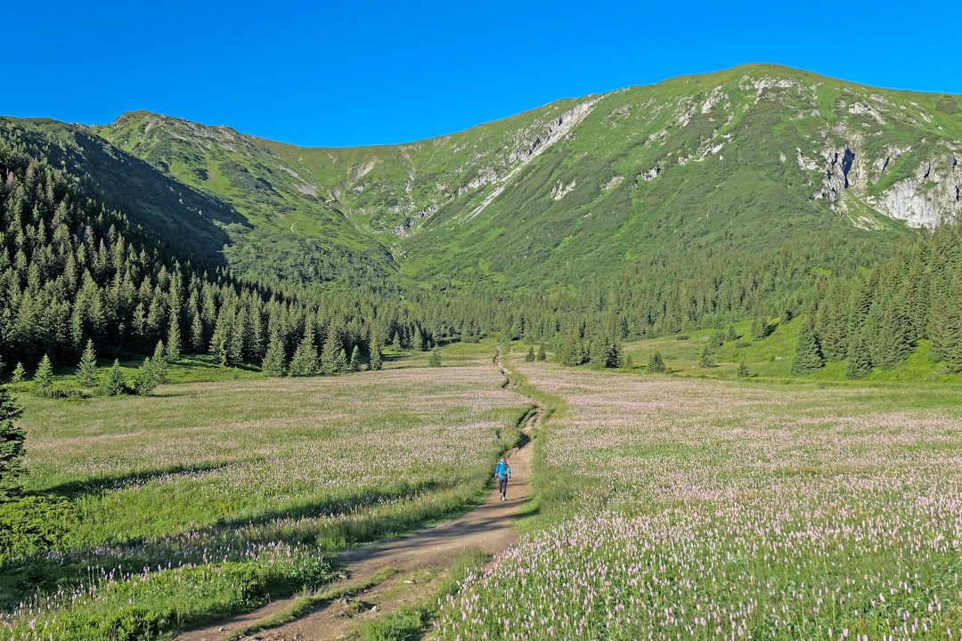 Valley of Flowers Budget Trekking Navigating This Junes Costs - Man… — Valley of Flowers Budget Trekking Navigating