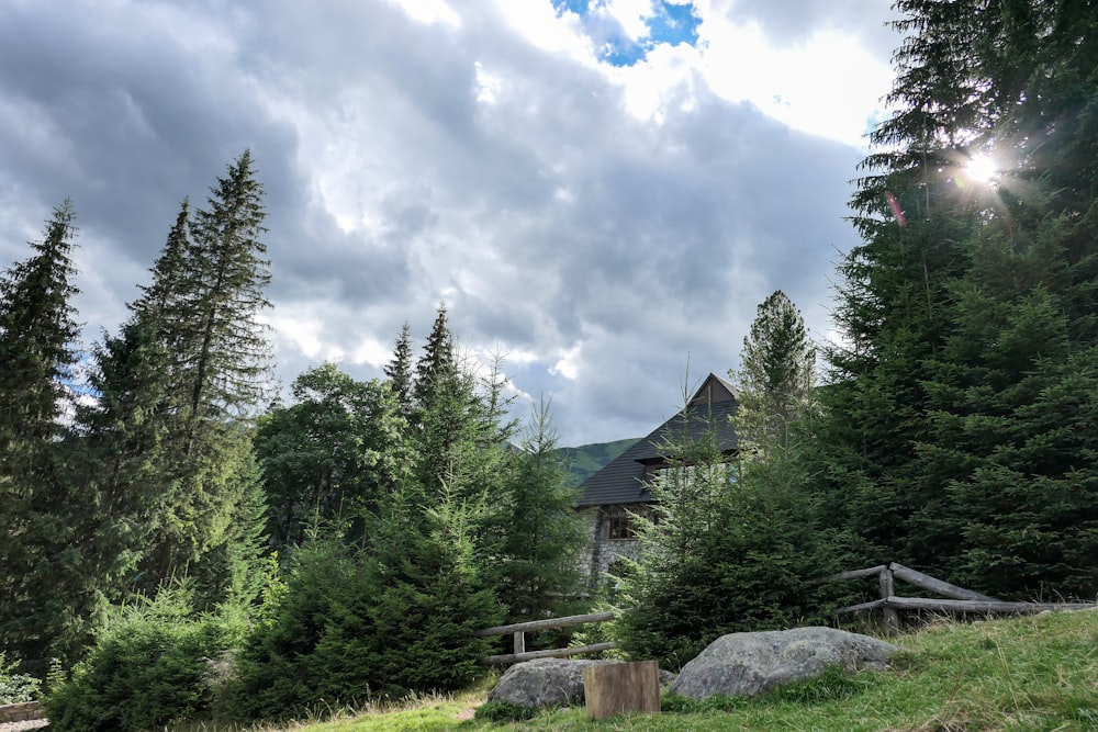 Grüne Kiefern unter weißen Wolken und blauem Himmel tagsüber