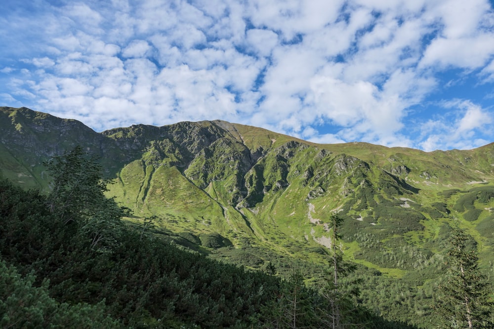 green trees on mountain under white clouds and blue sky during daytime