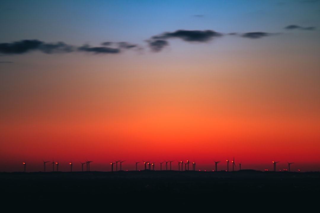 silhouette of people on beach during sunset