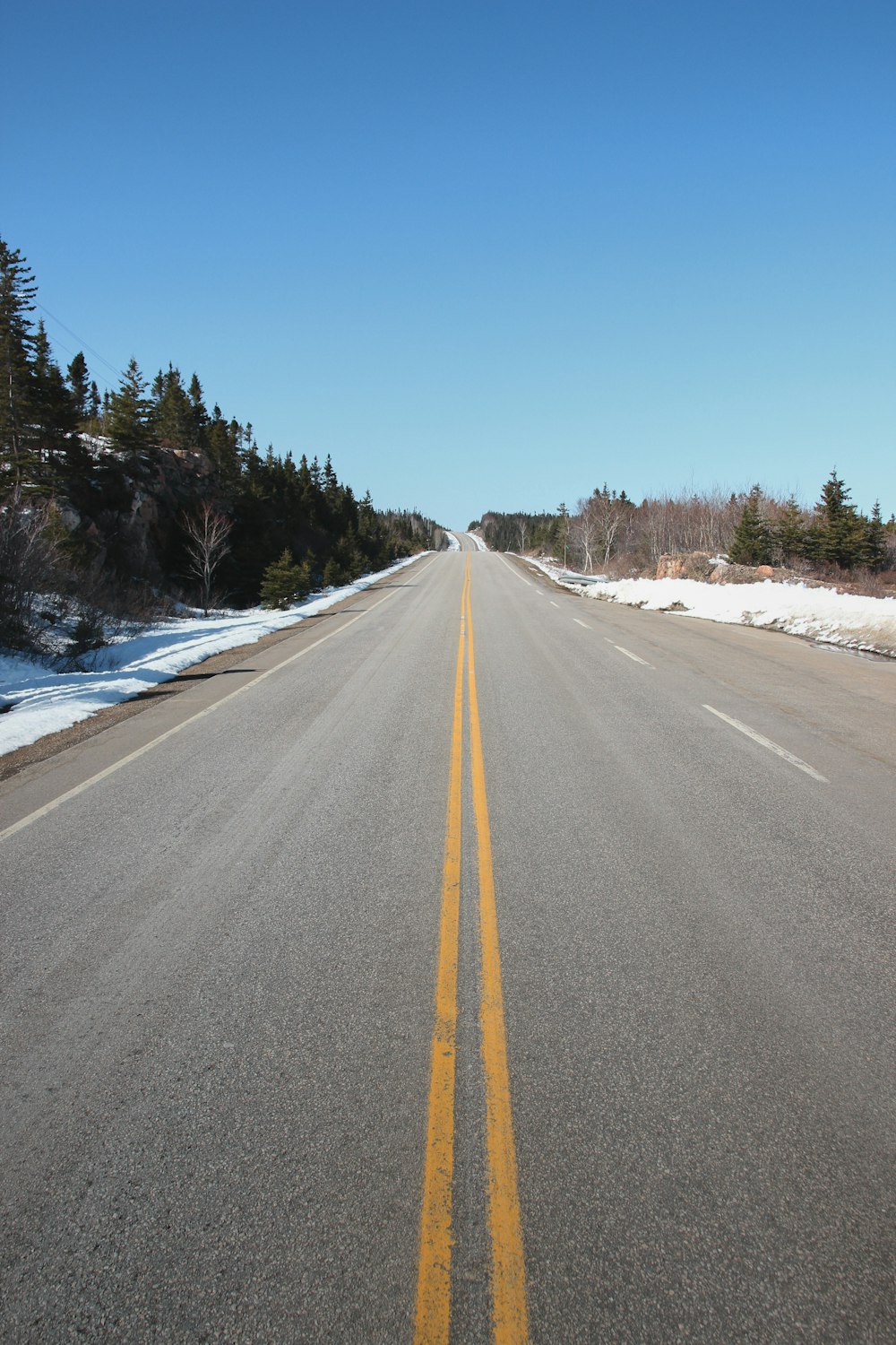 gray concrete road near green trees under blue sky during daytime