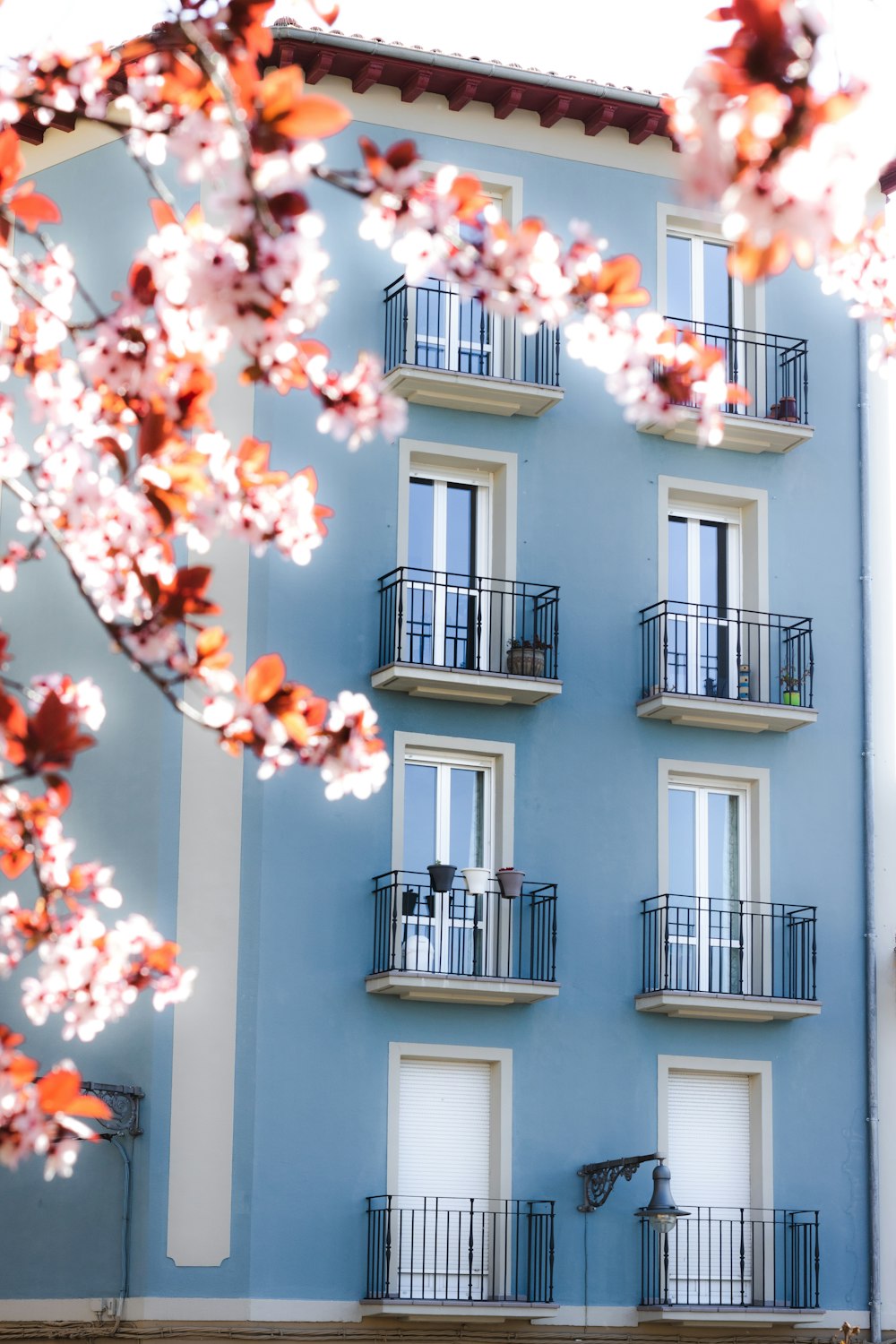 Weißes Betongebäude mit roten und gelben Blumen