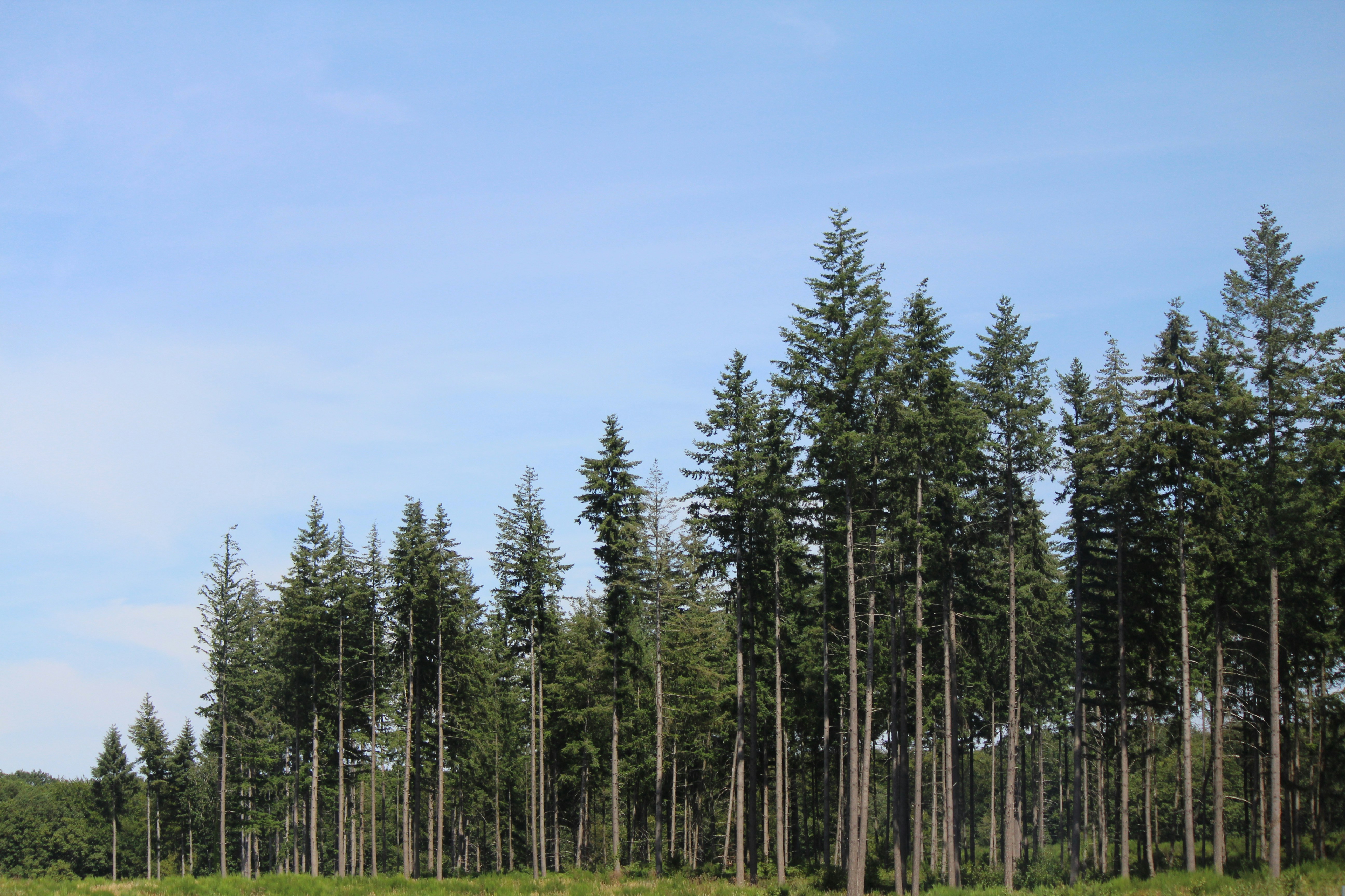 Photo by haim_charbit18