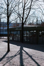 Sunlight casting sharp shadows on a modern glass building symbolizing growth and clarity.