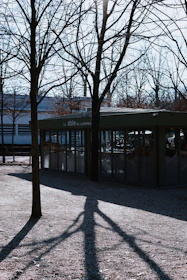 Sunlight casting sharp shadows on a modern glass building symbolizing growth and clarity.