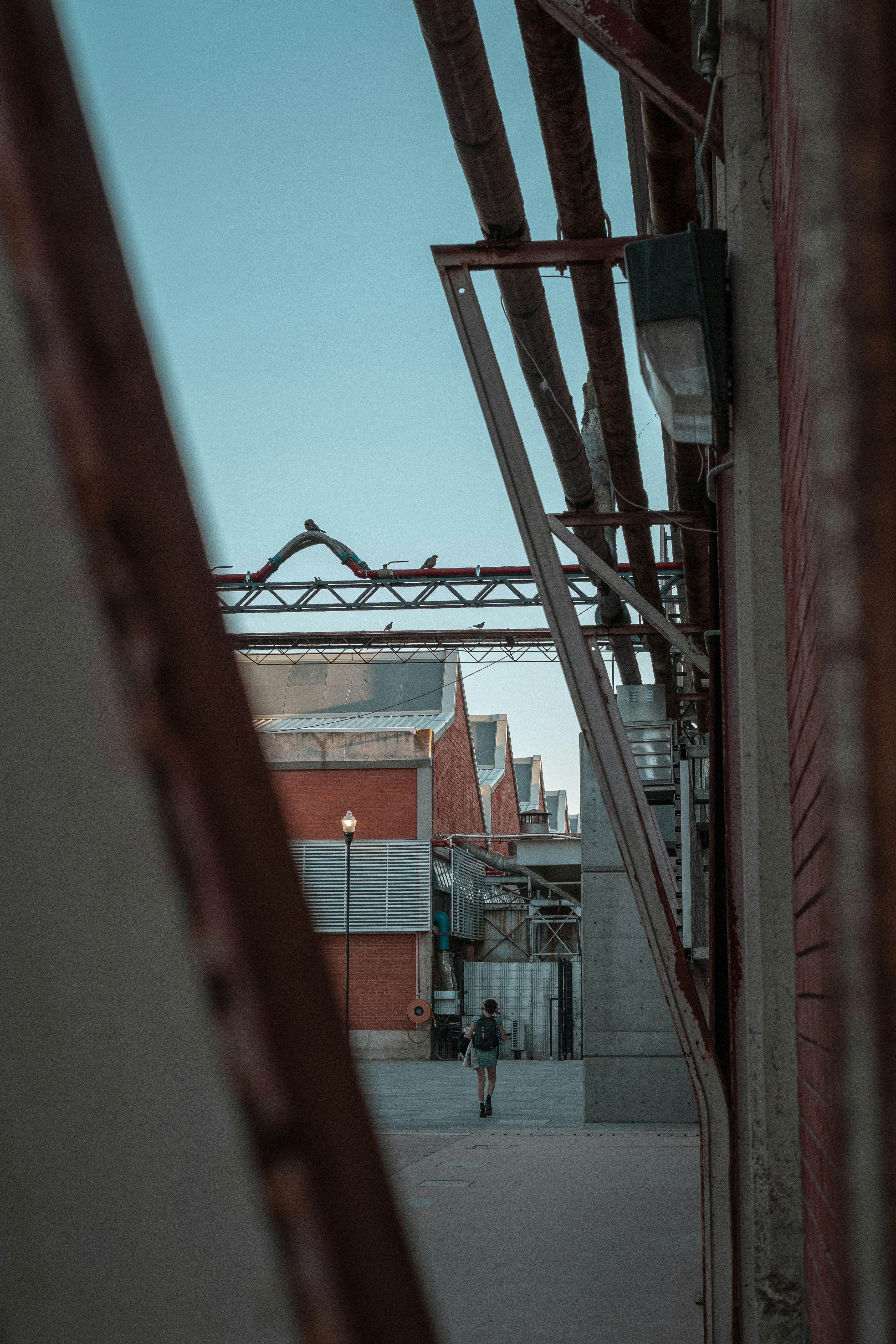 Photo by alex_quezada