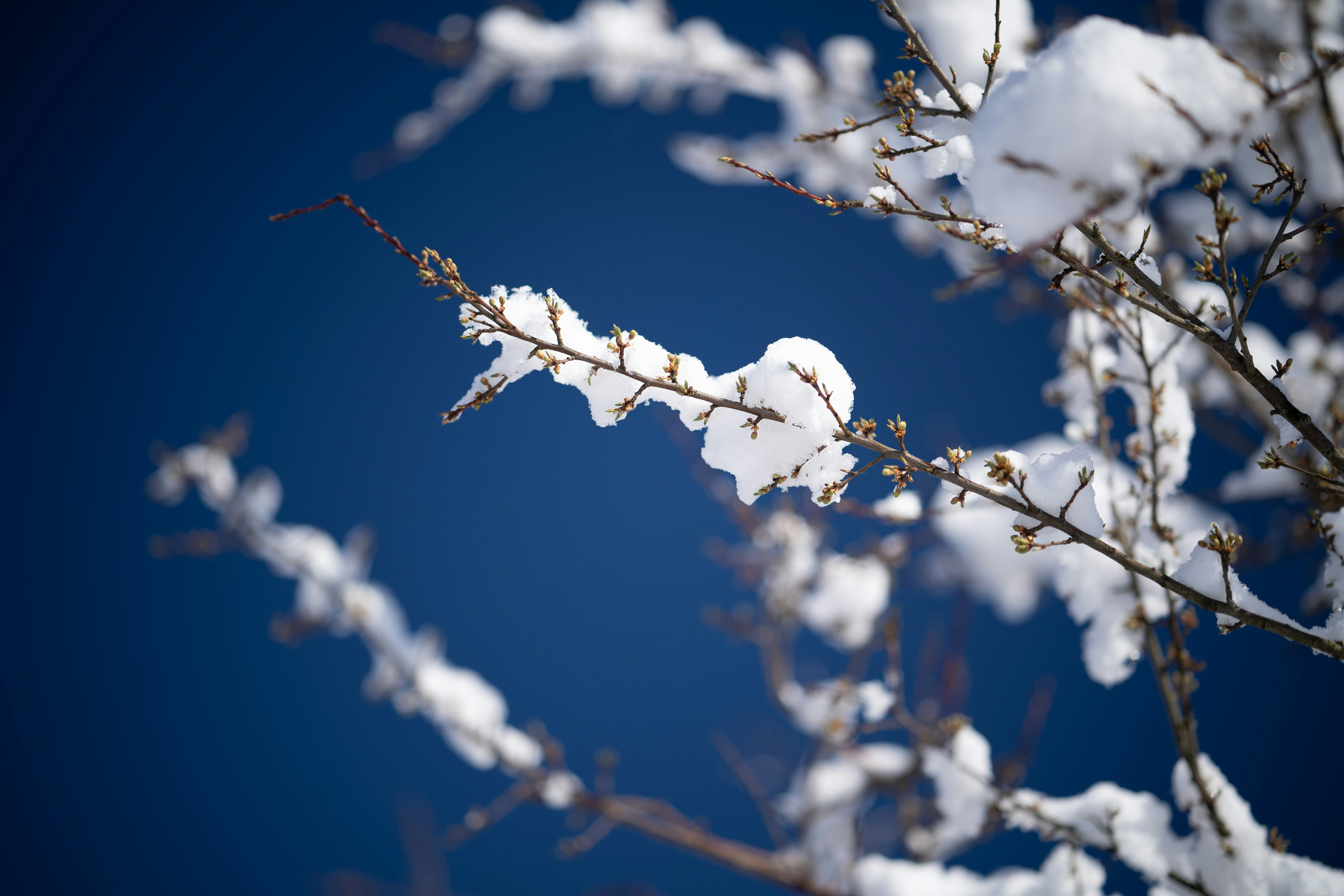 Photo by raimondklavins