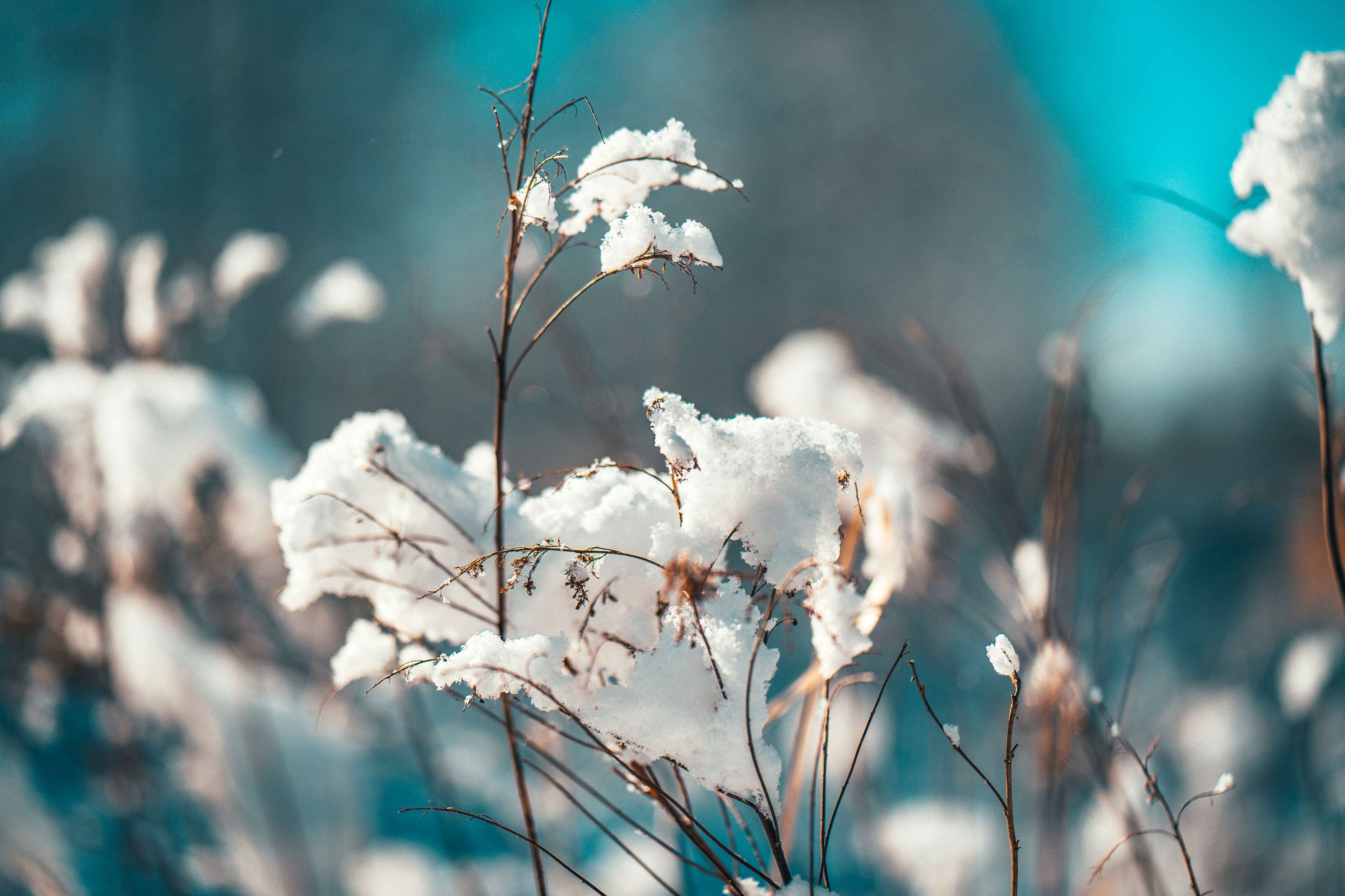 Photo by raimondklavins