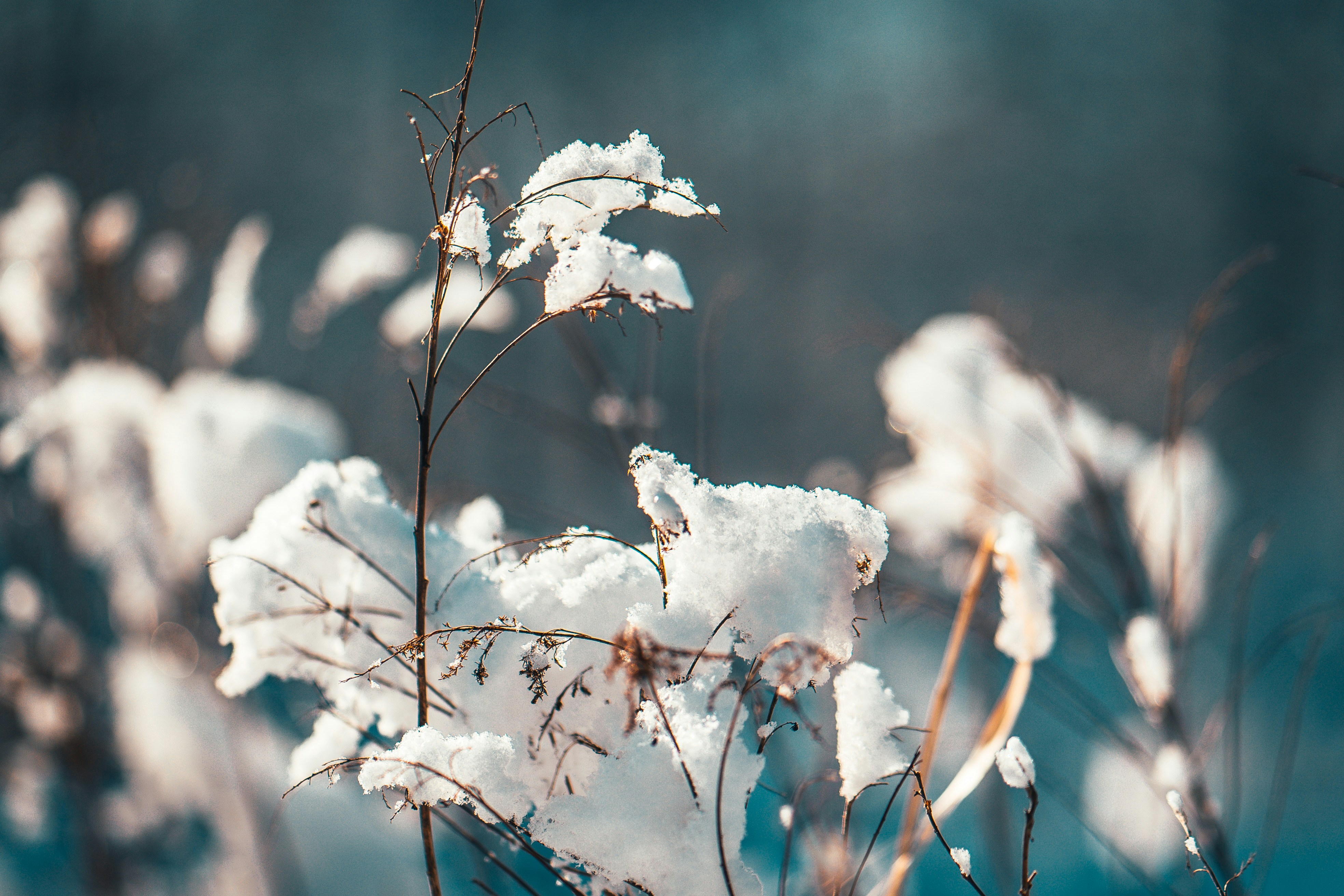 Photo by raimondklavins