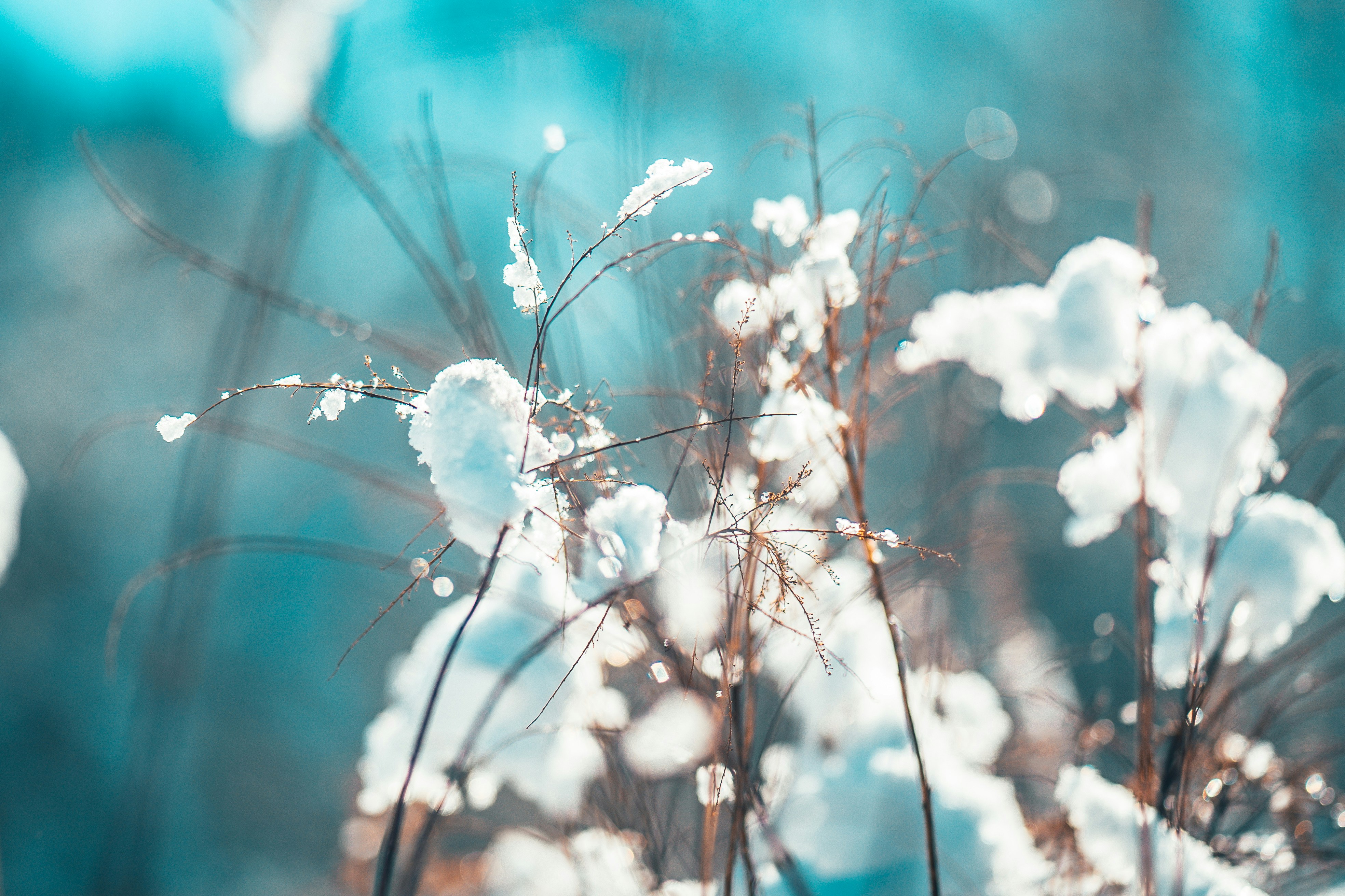 Photo by raimondklavins