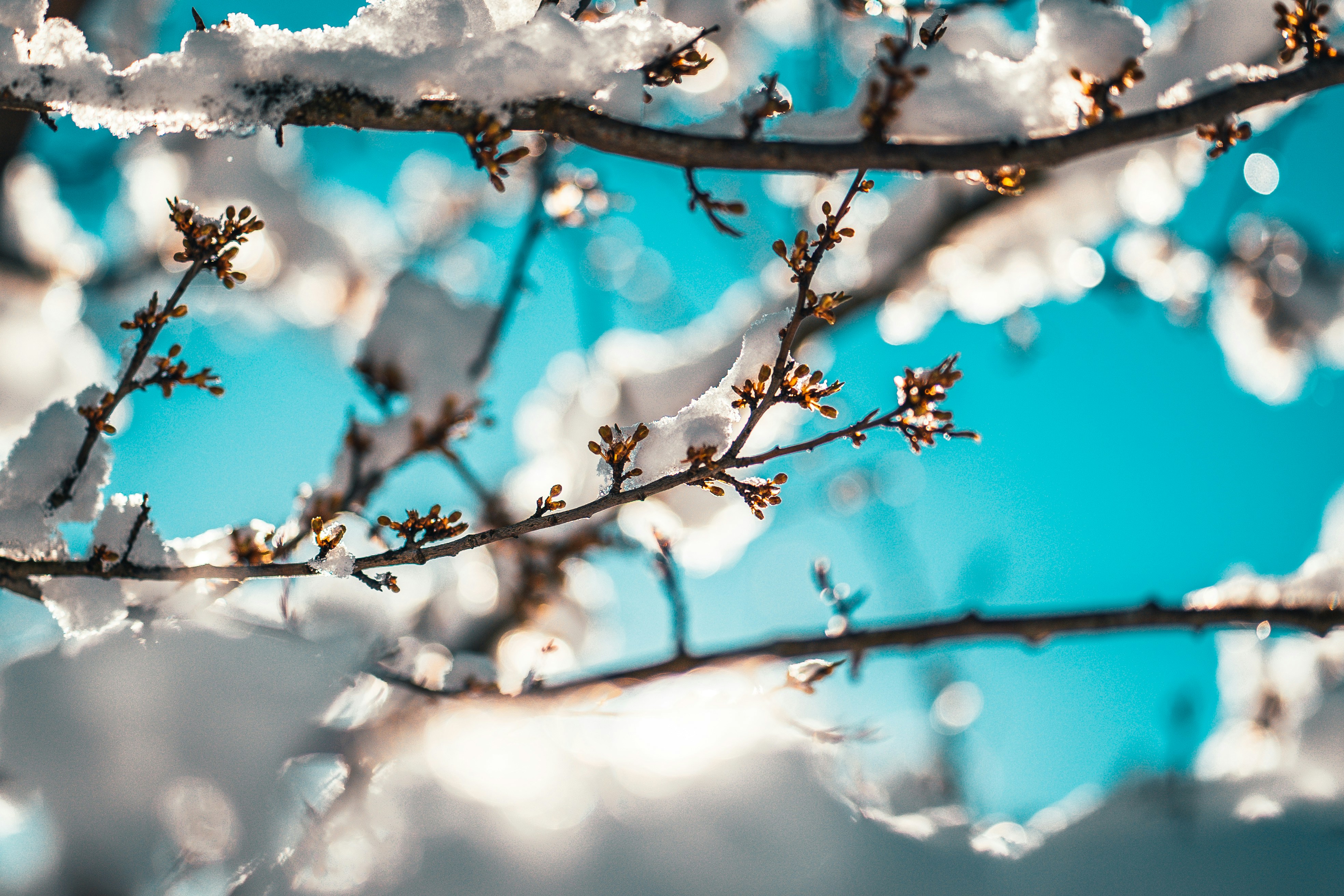 Photo by raimondklavins