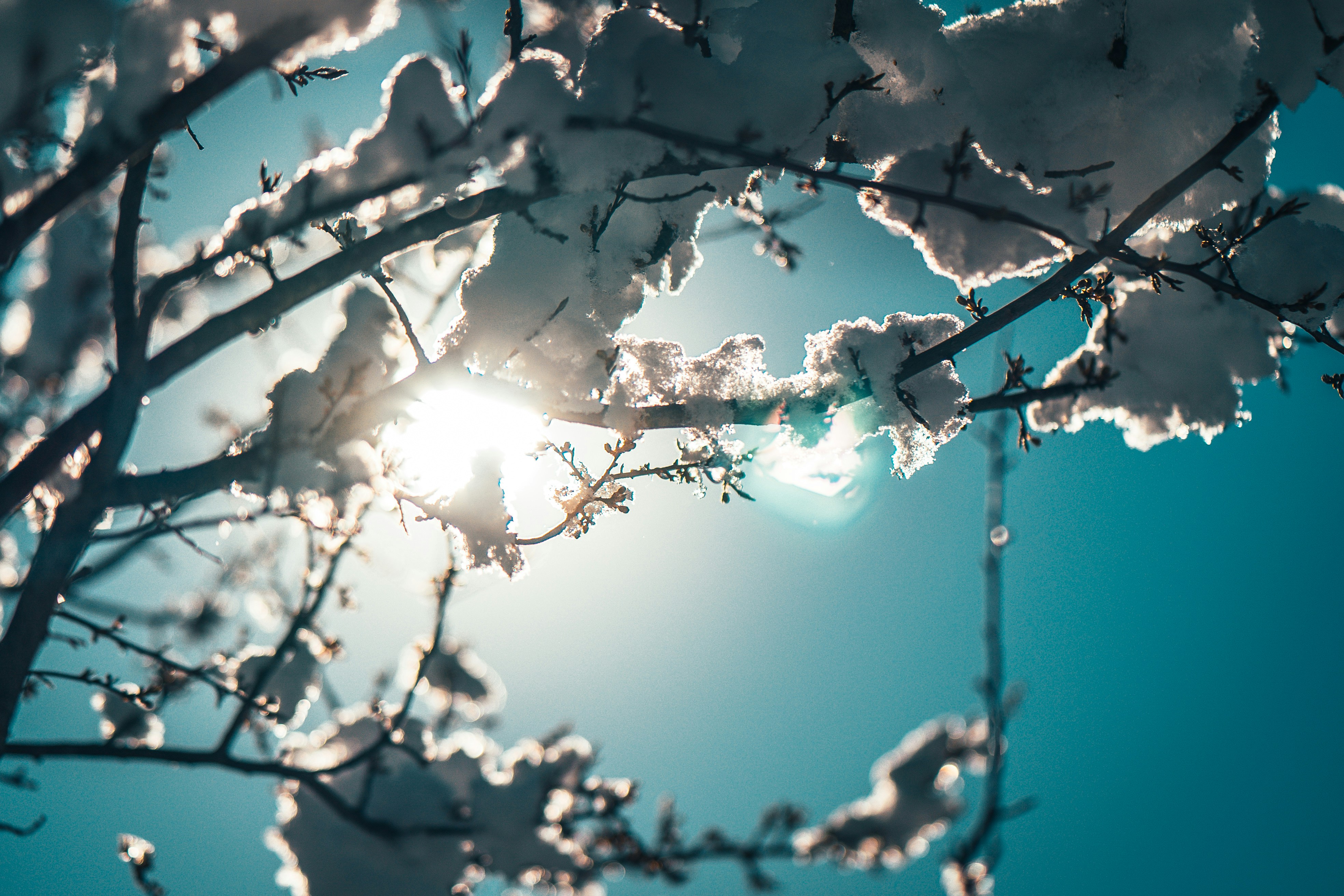 Photo by raimondklavins