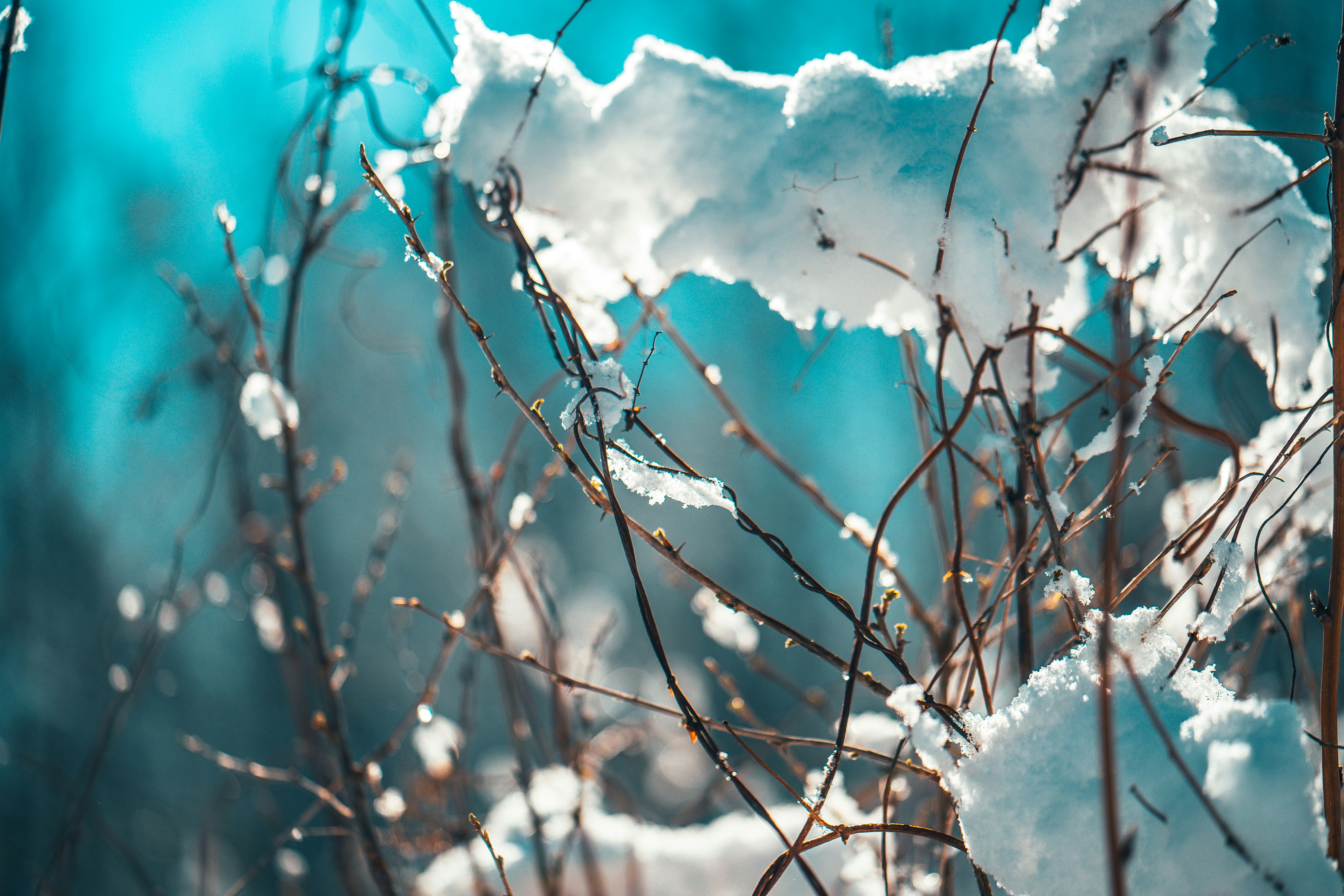 Photo by raimondklavins