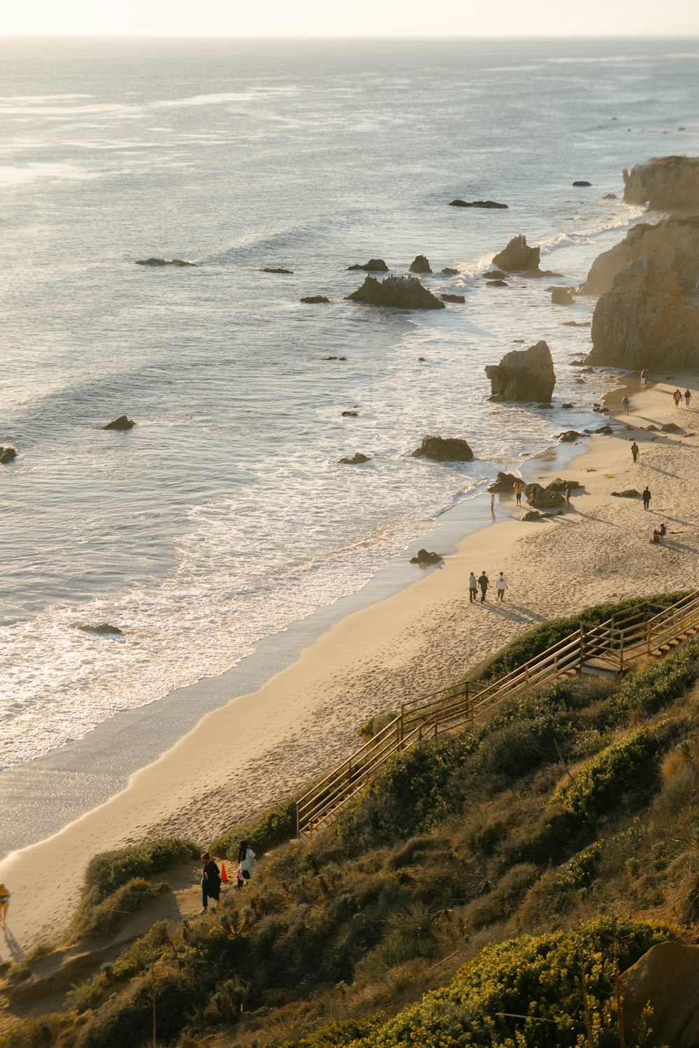 people on beach during daytime