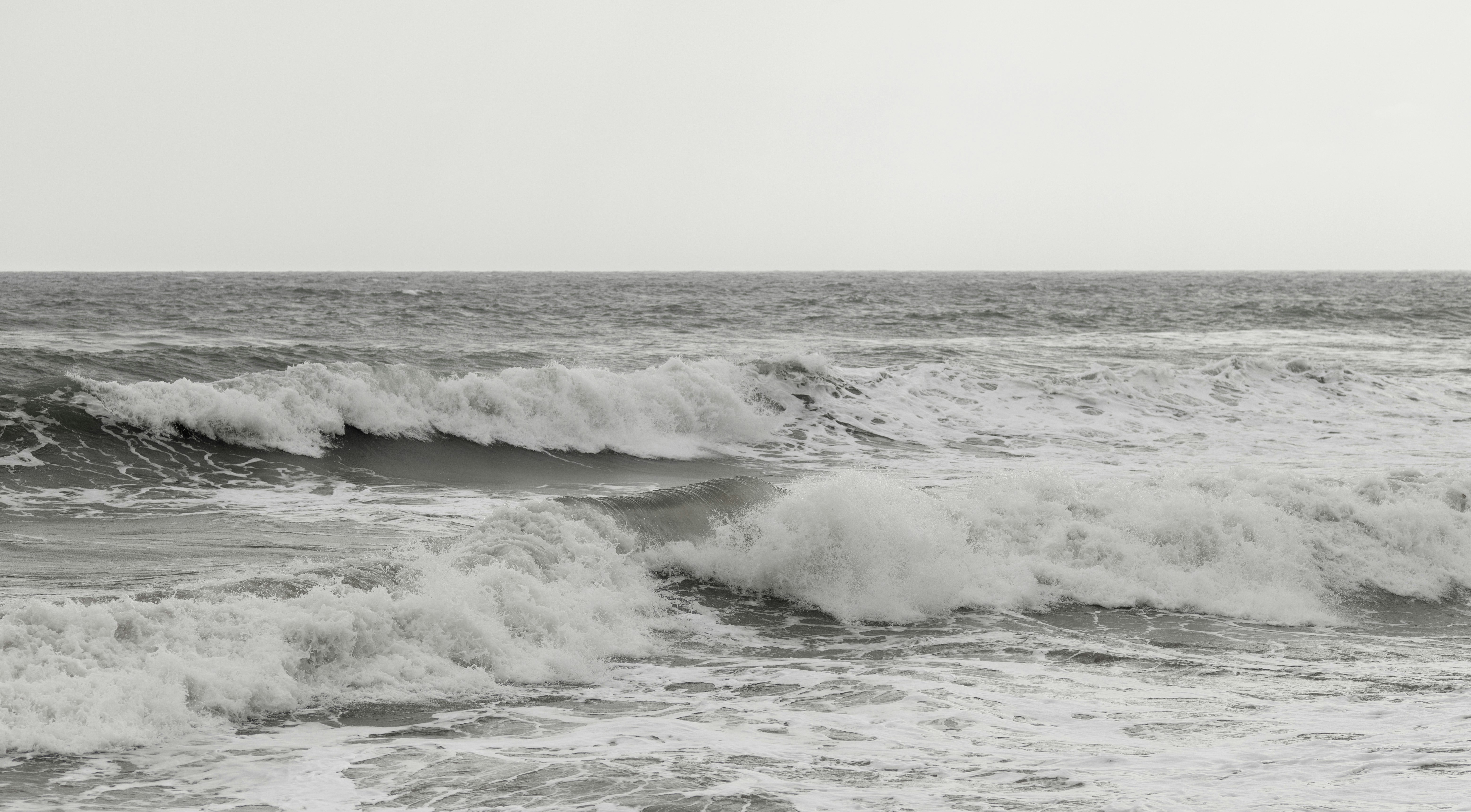 Photo by victor_vector